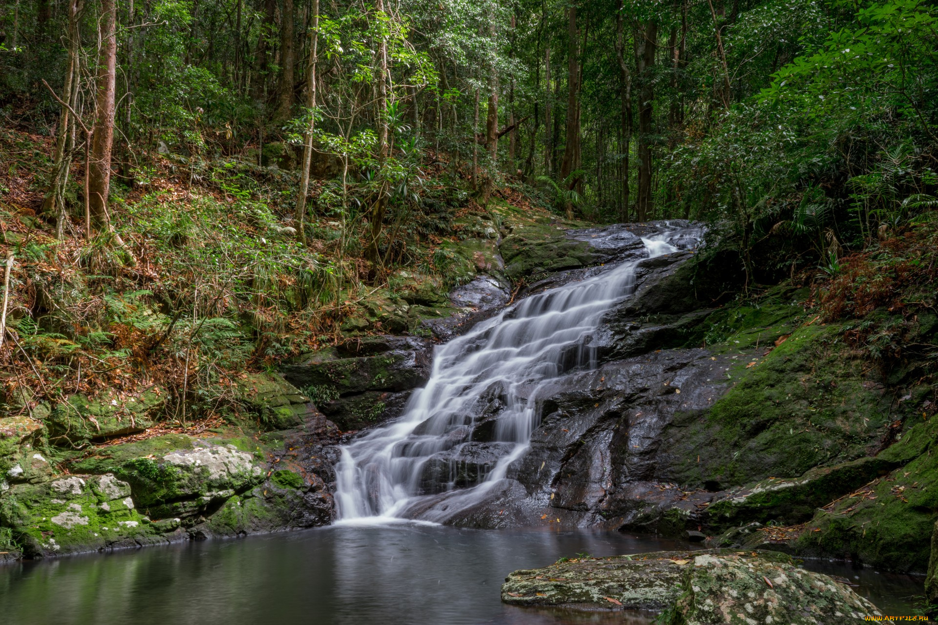 природа, водопады, лес, река, водопад