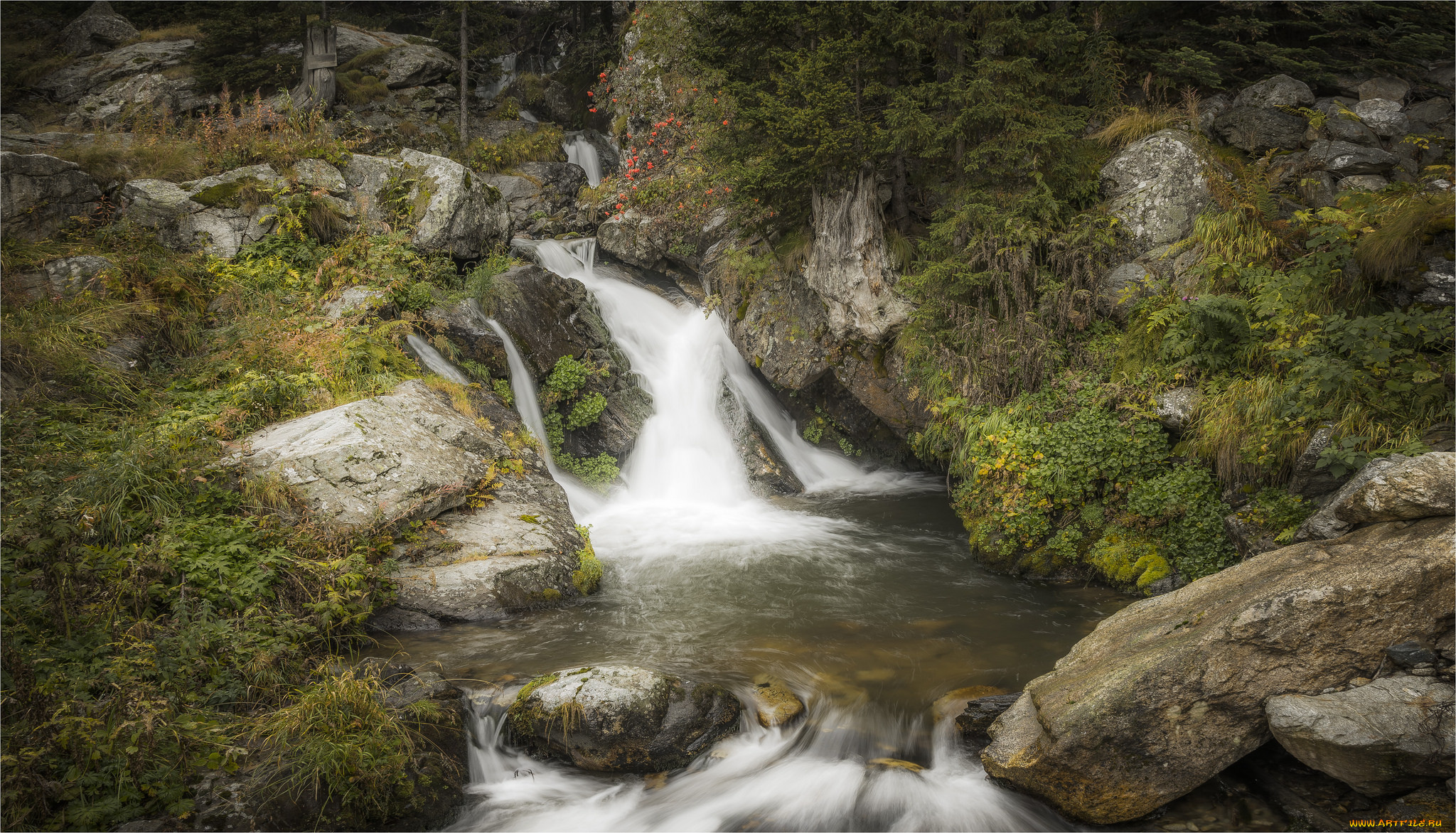 природа, водопады, лес, водопад, река