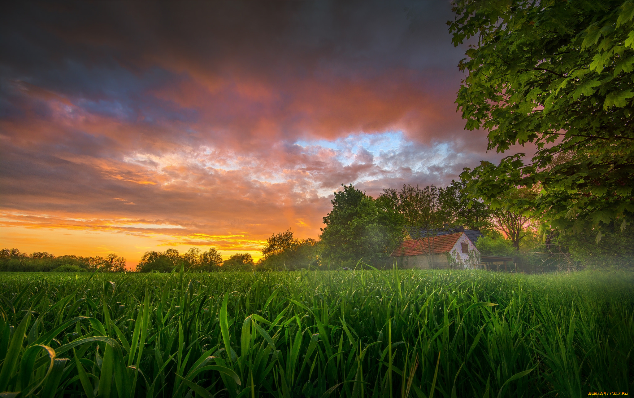 природа, восходы, закаты, рассвет