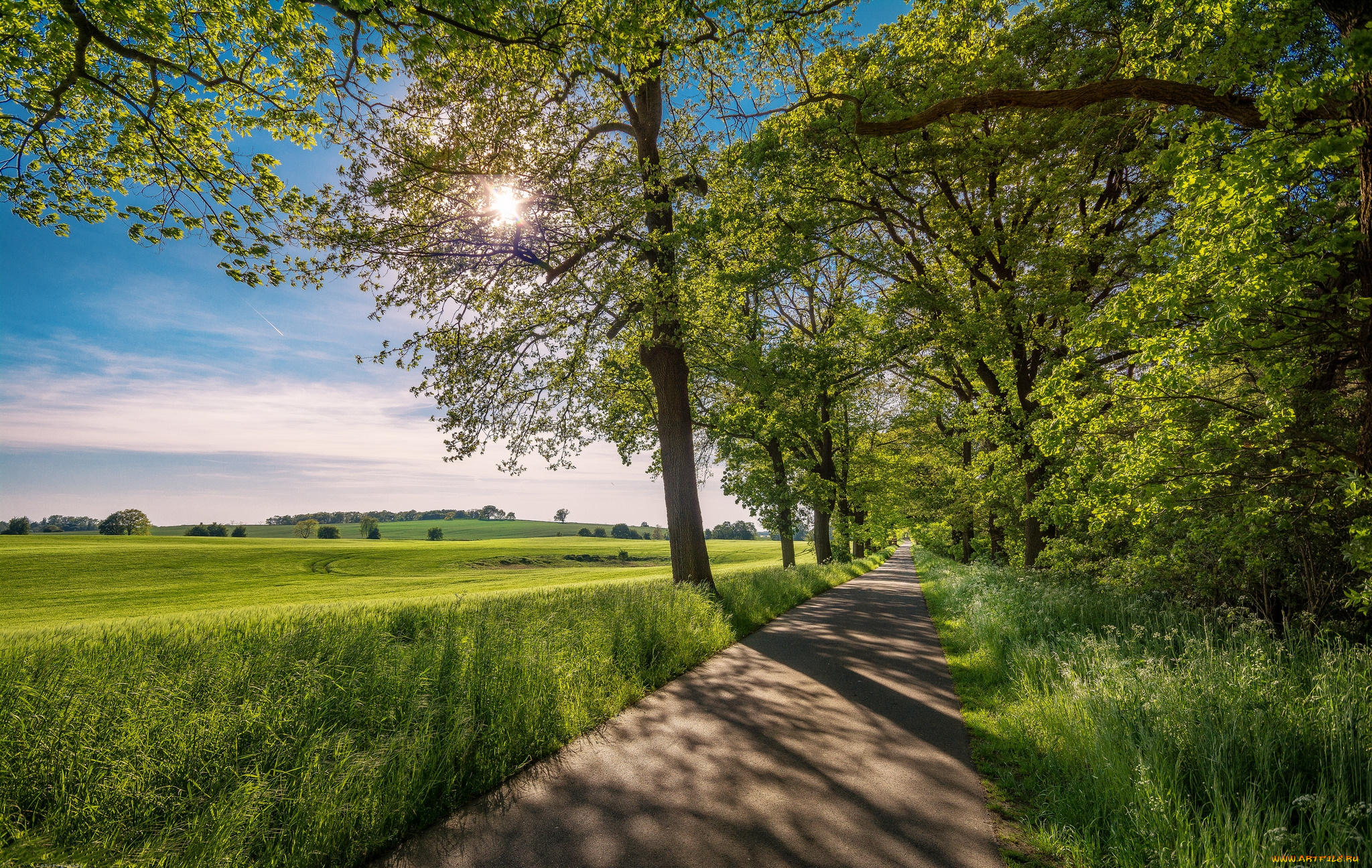 природа, дороги, тракт