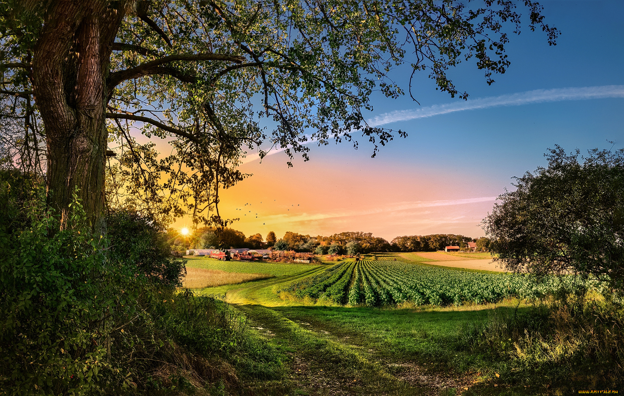 природа, пейзажи, рассвет