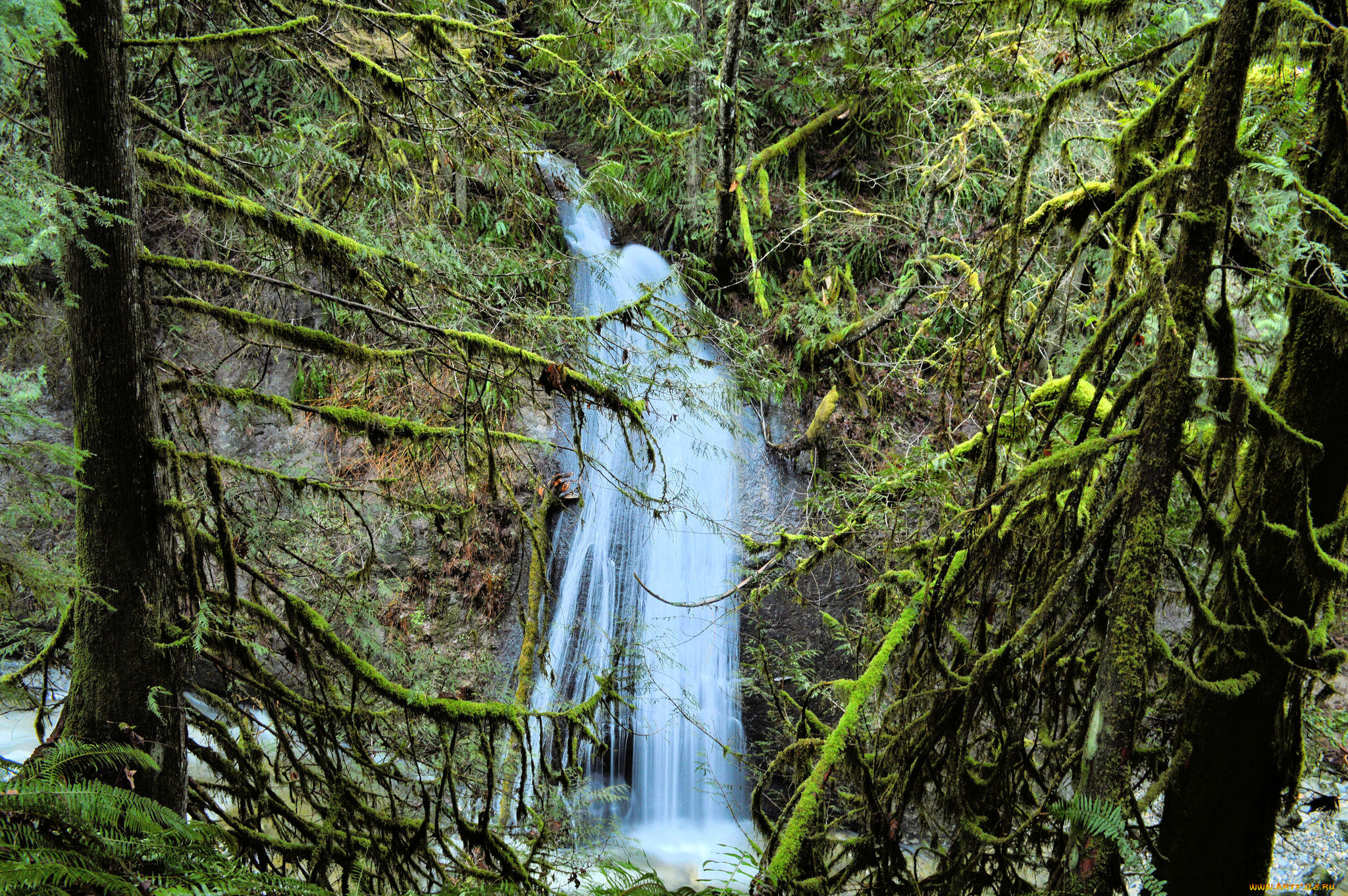 природа, водопады, река, водопад, лес