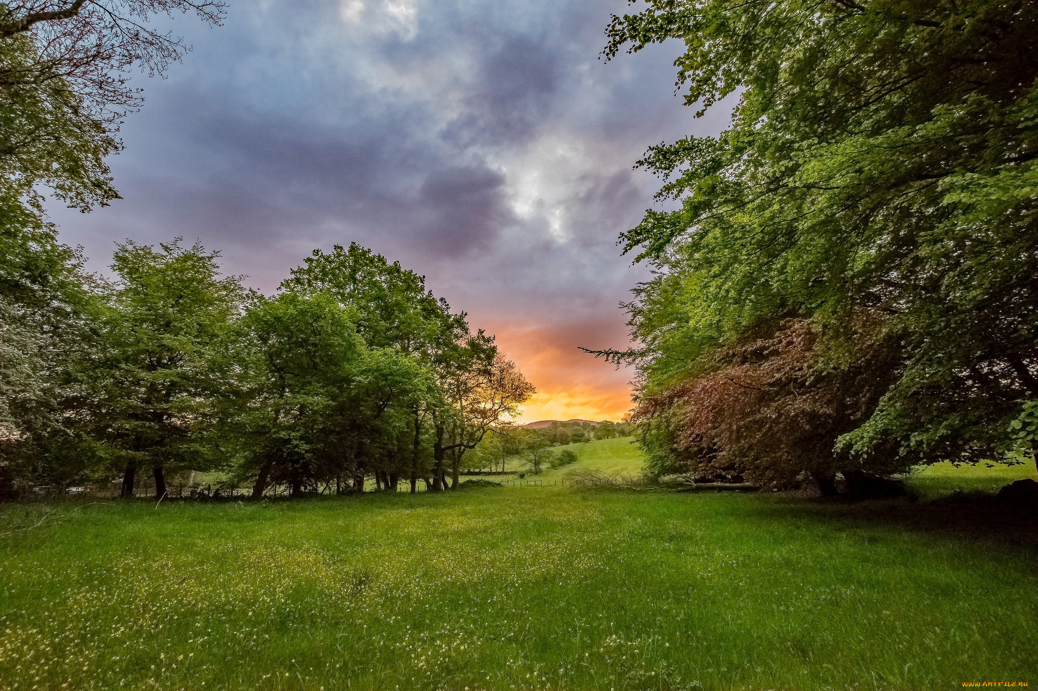 природа, пейзажи, простор