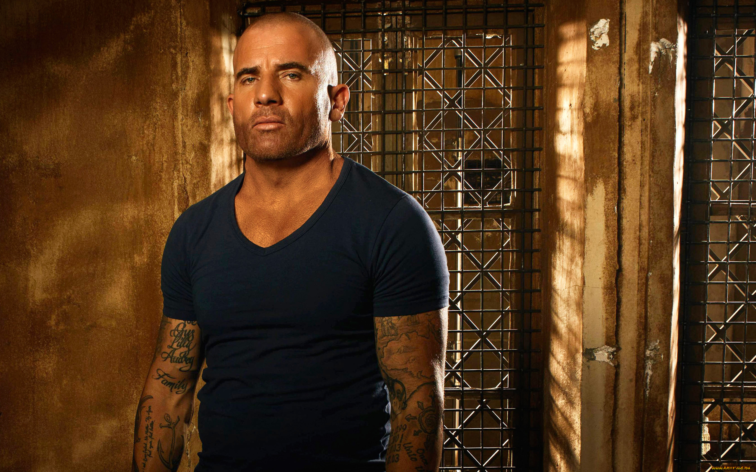 кино, фильмы, prison, break, , sequel, lincoln, burrows, dominic, purcell