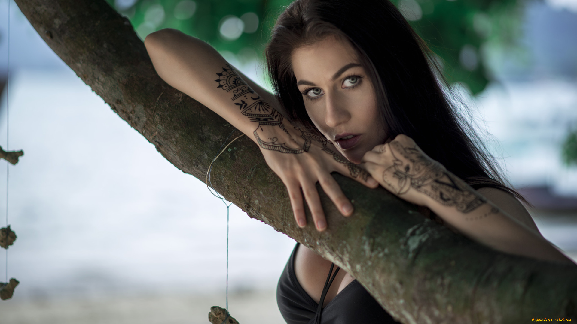 девушка, девушки, -unsort, , брюнетки, темноволосые, модель