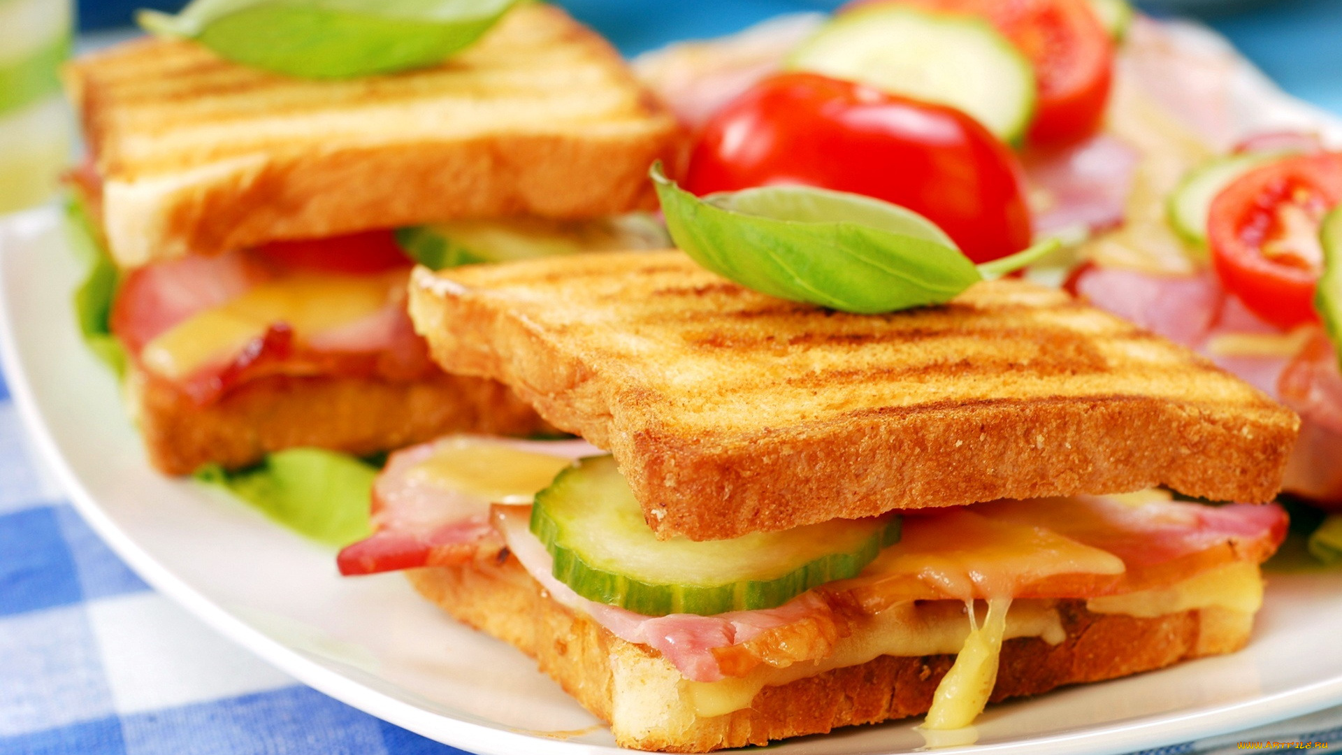 еда, бутерброды, , гамбургеры, , канапе, сэндвич, томаты, помидоры