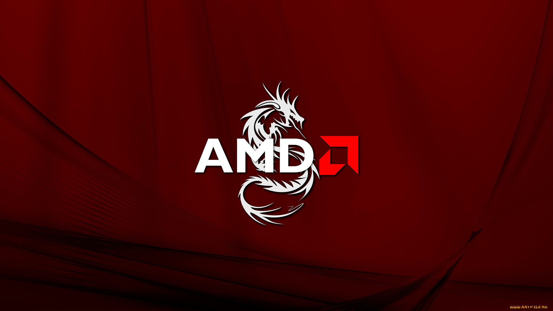 компьютеры, amd, фон, логотип