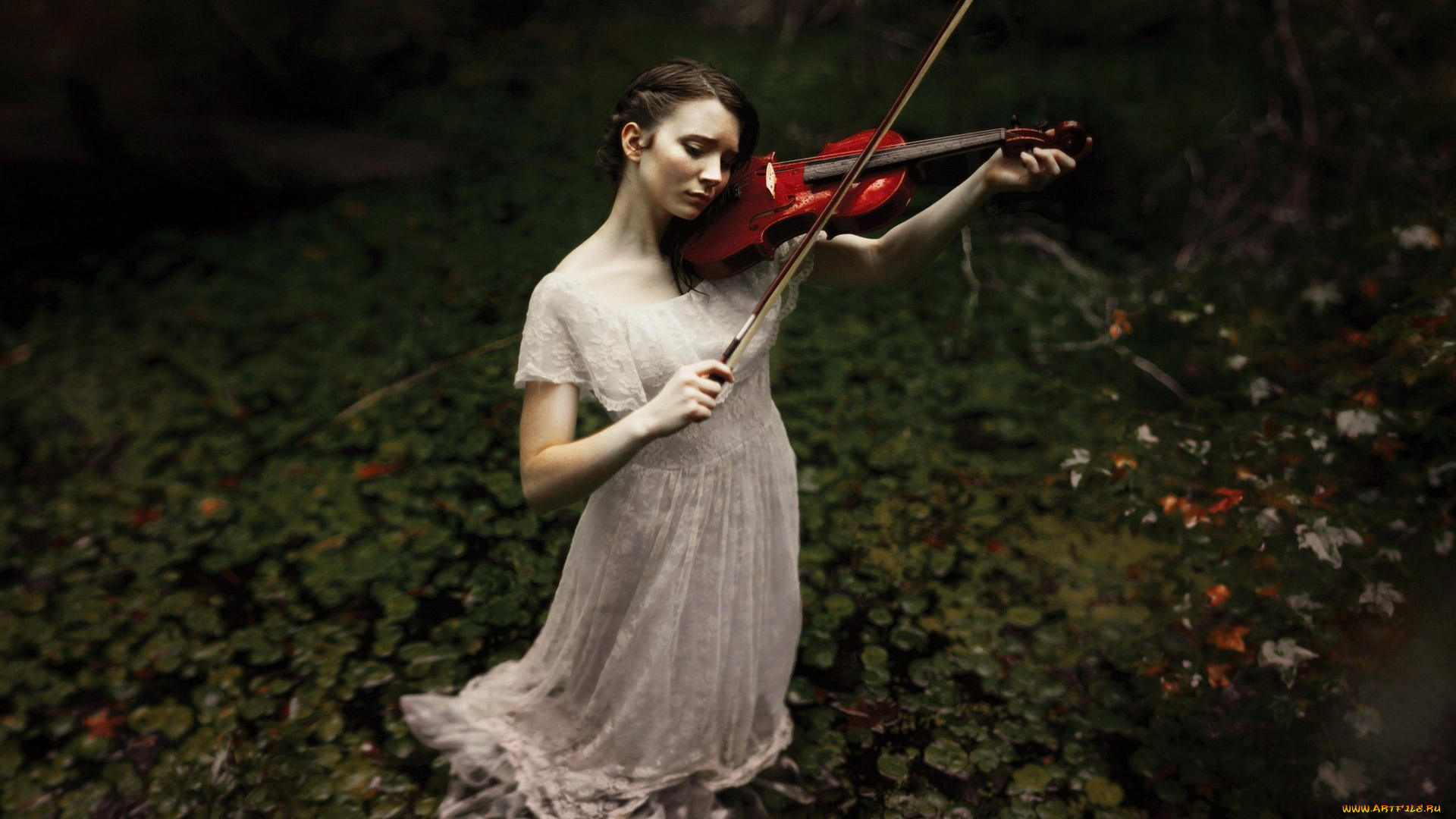 музыка, -другое, девушка, скрипка
