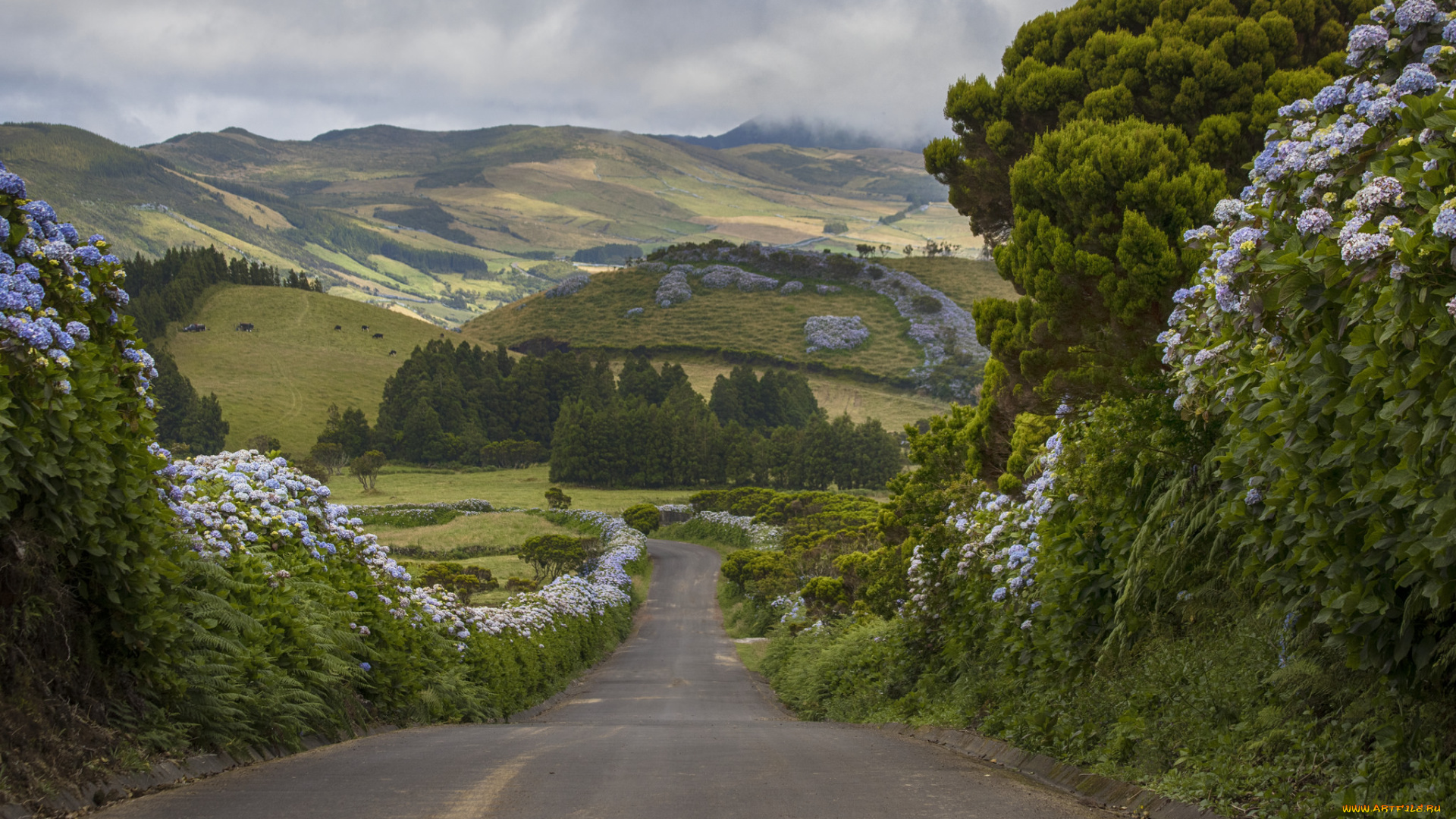 природа, дороги, простор