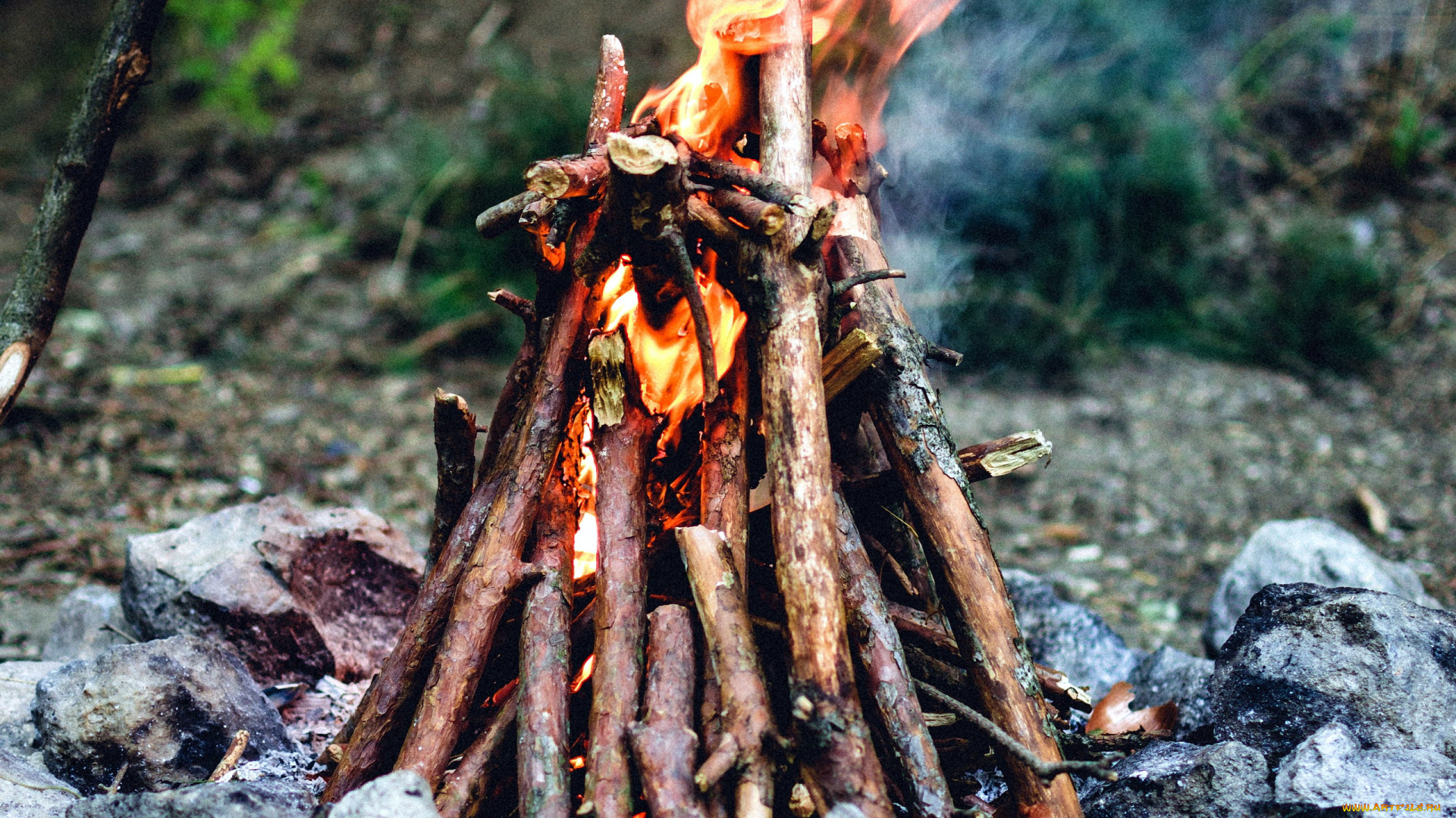 природа, огонь, пламя, костер