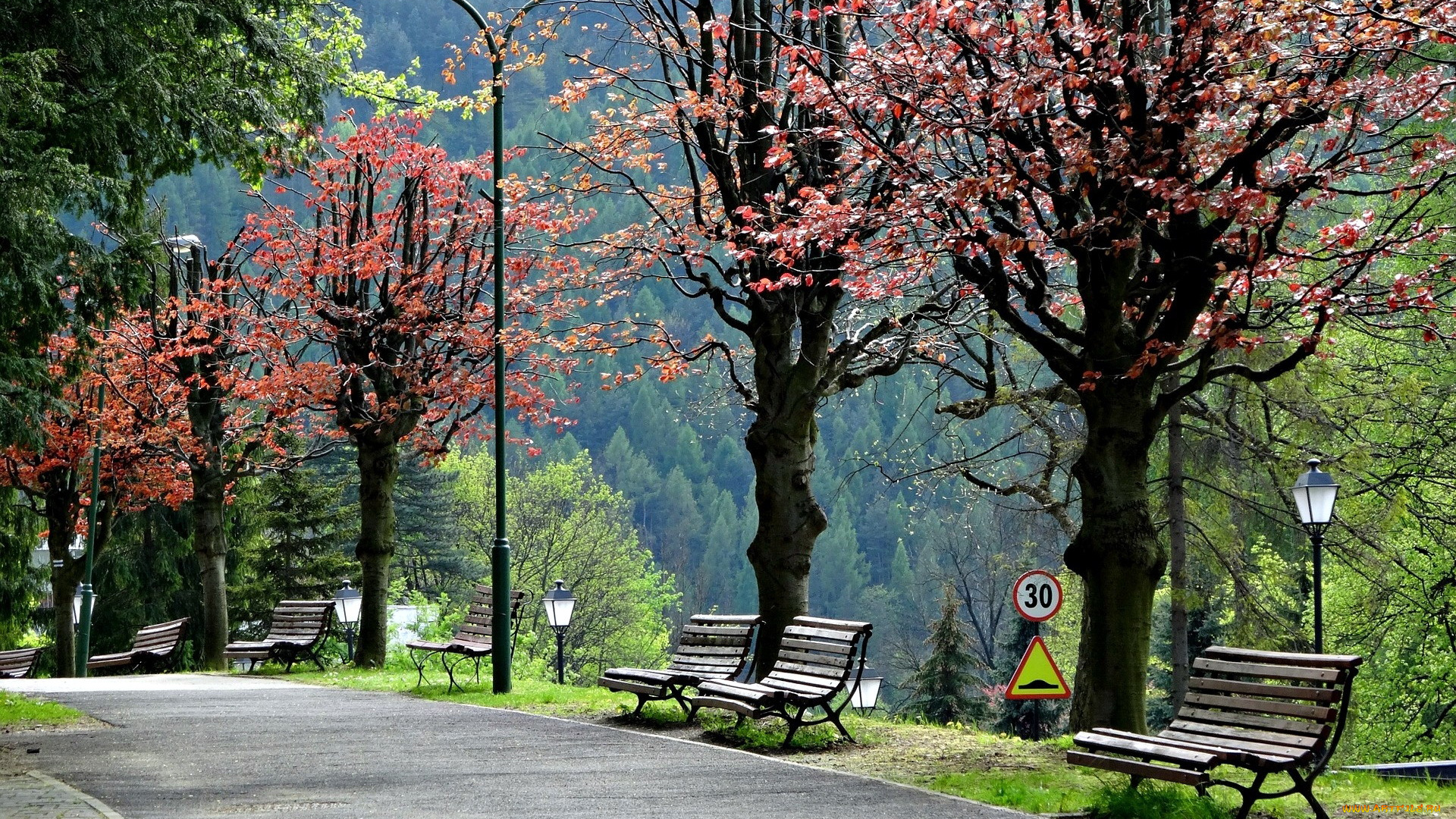 природа, парк, аллея, скамейки, фонари