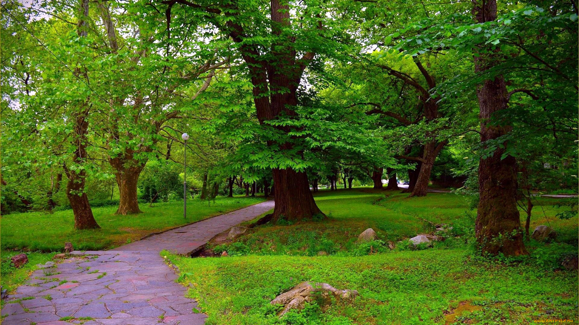 природа, парк, фонари, деревья, аллея