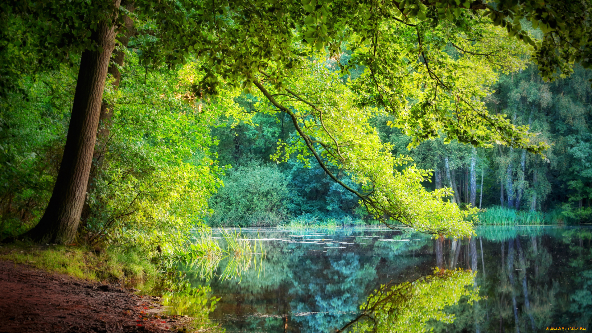 природа, реки, озера, простор