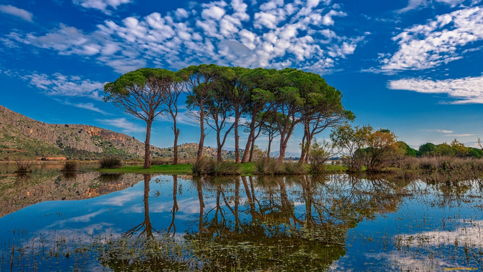 природа, реки, озера, простор