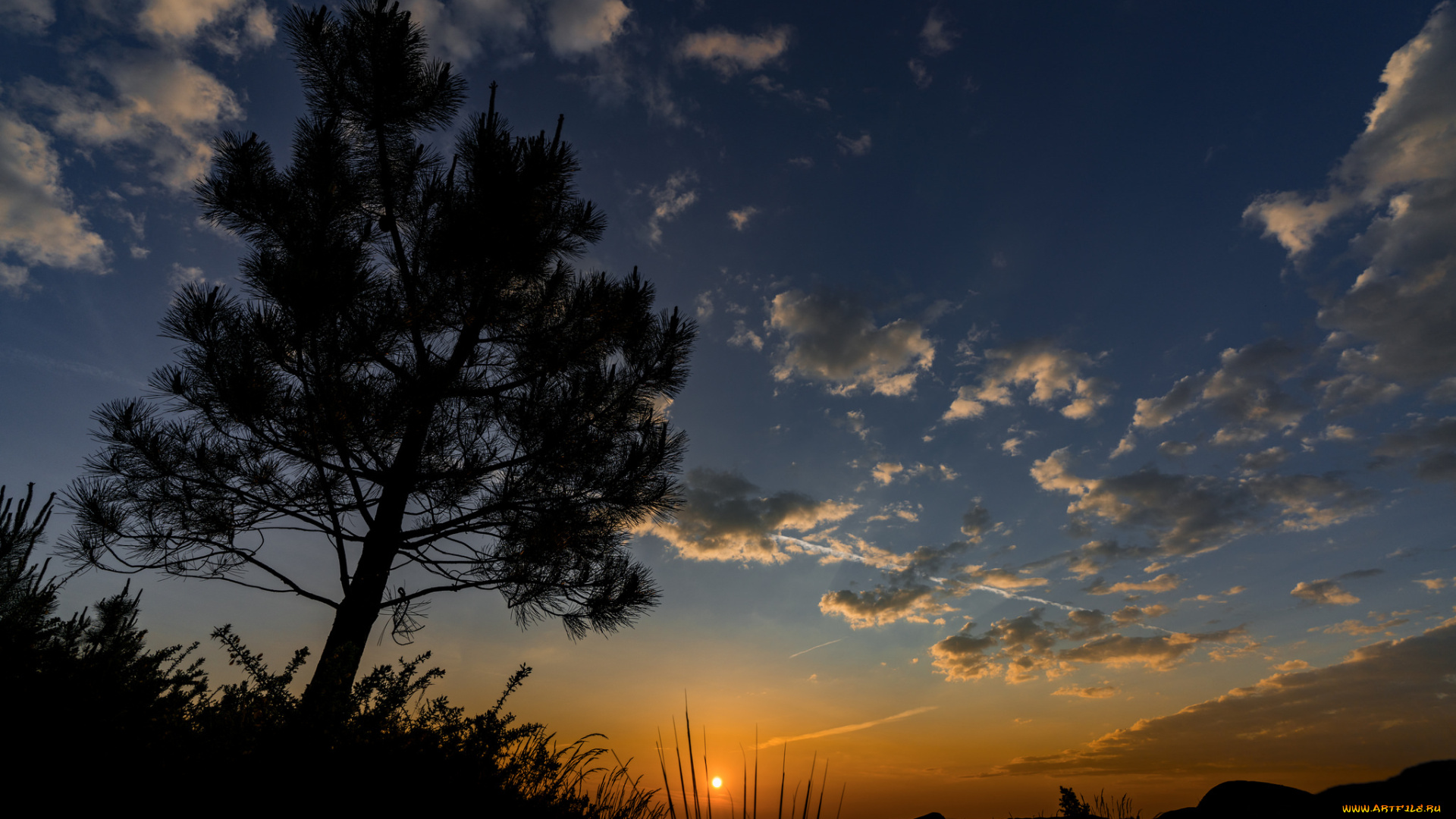 природа, восходы, закаты, простор