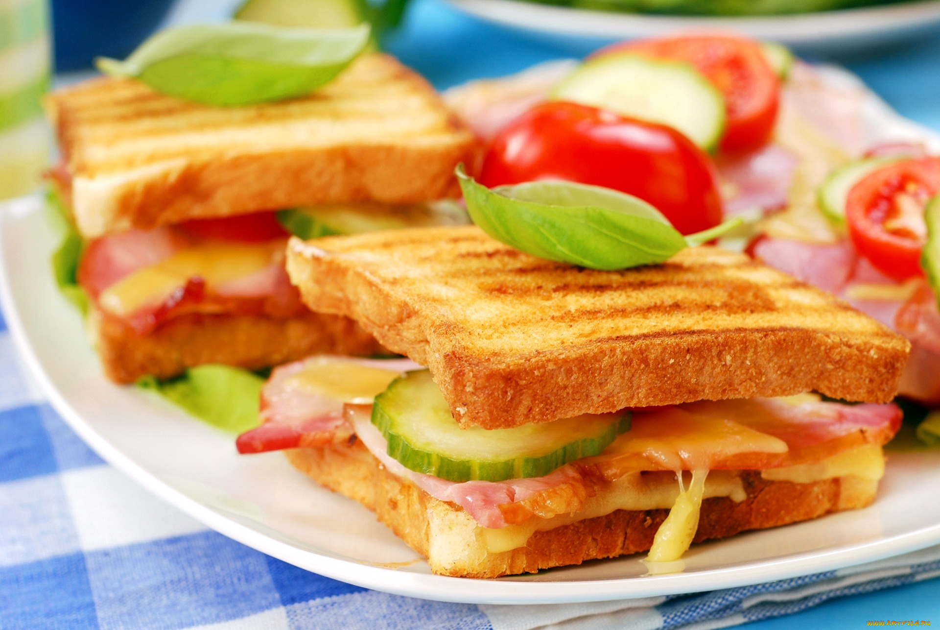 еда, бутерброды, , гамбургеры, , канапе, сэндвич, томаты, помидоры