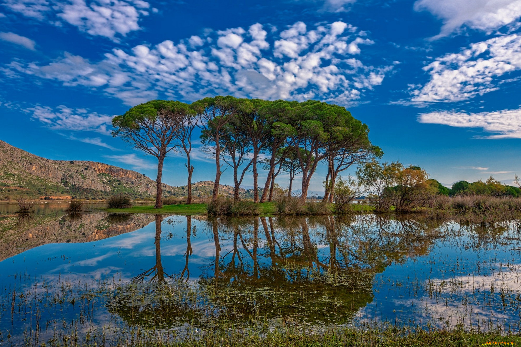 природа, реки, озера, простор