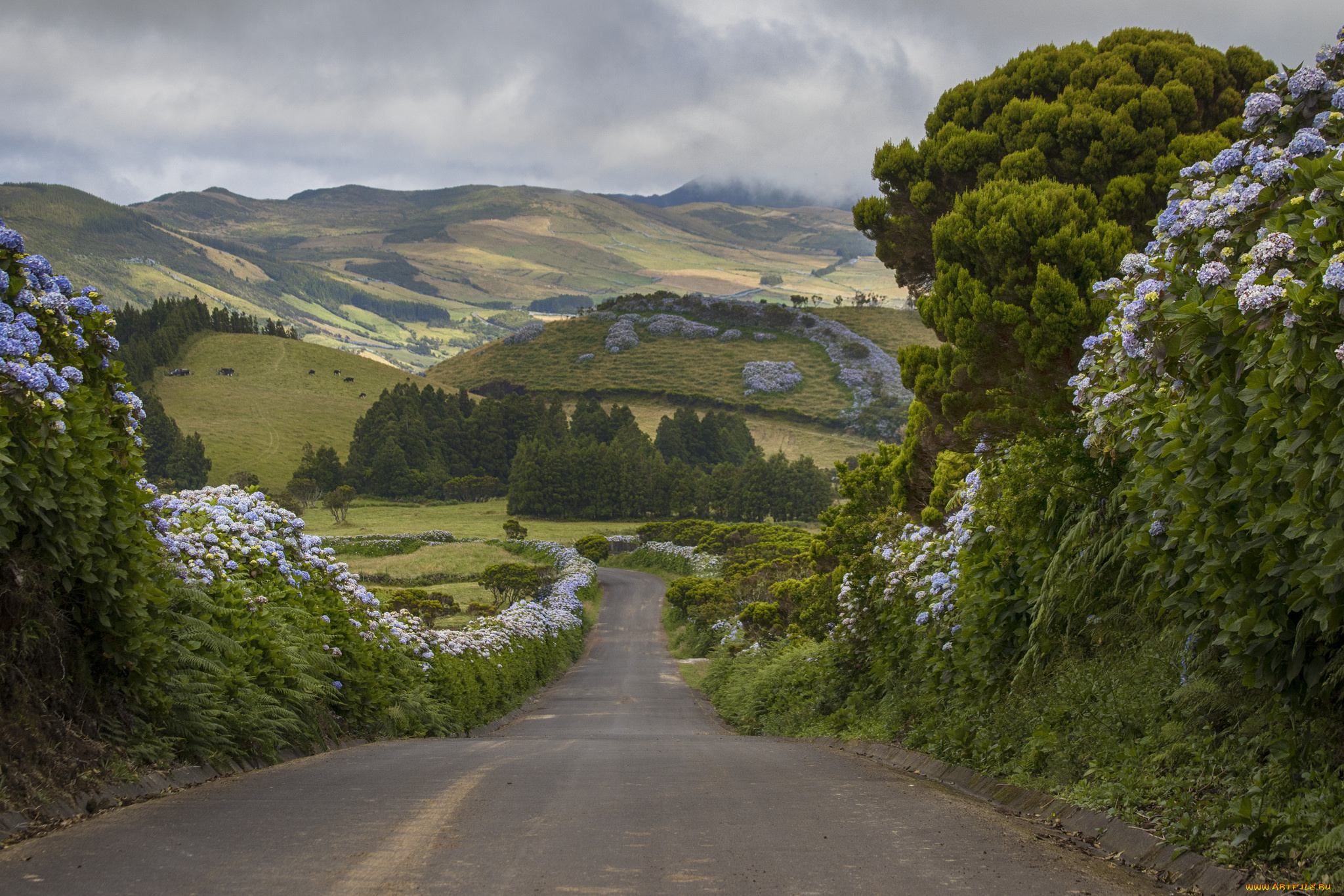 природа, дороги, простор