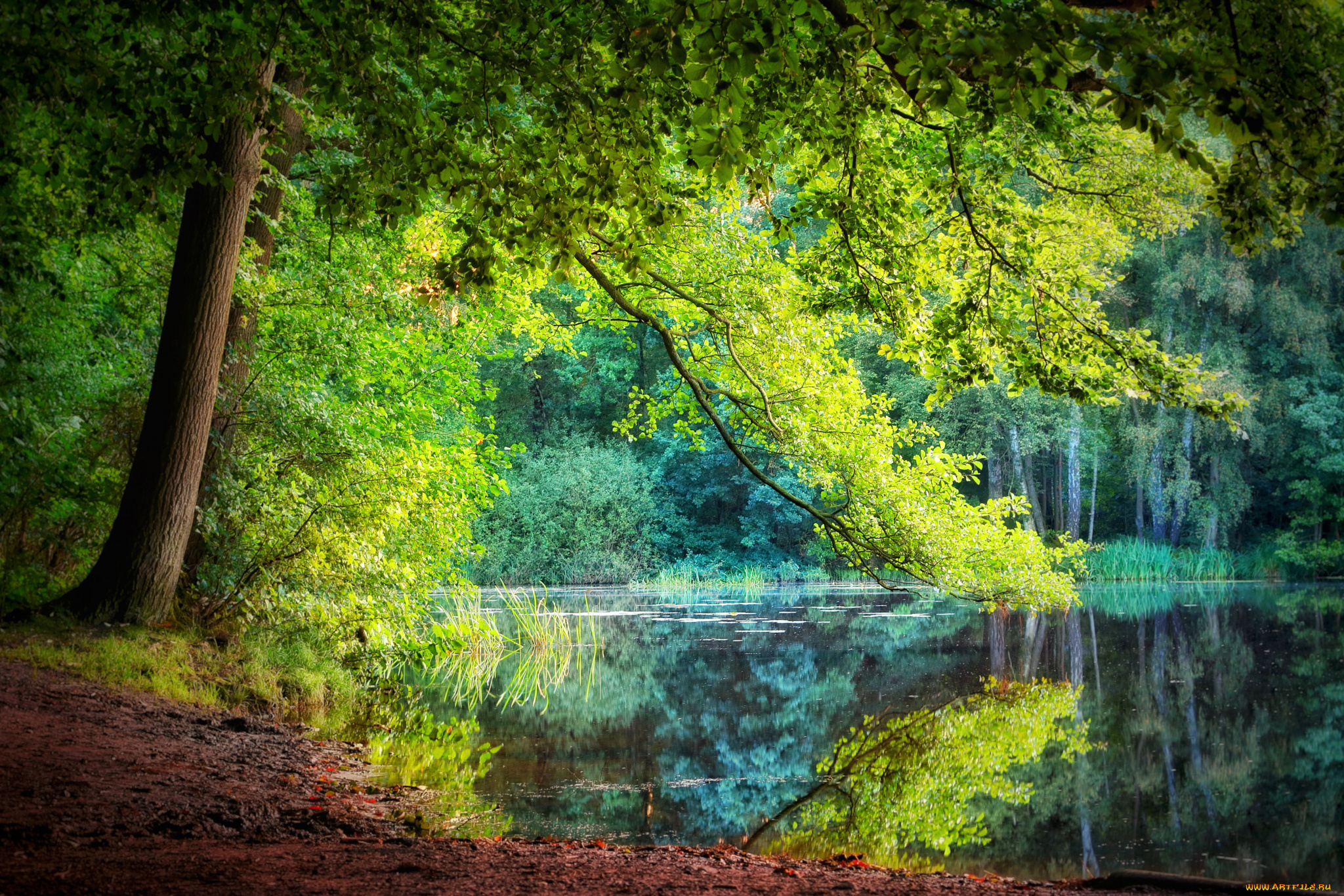 природа, реки, озера, простор