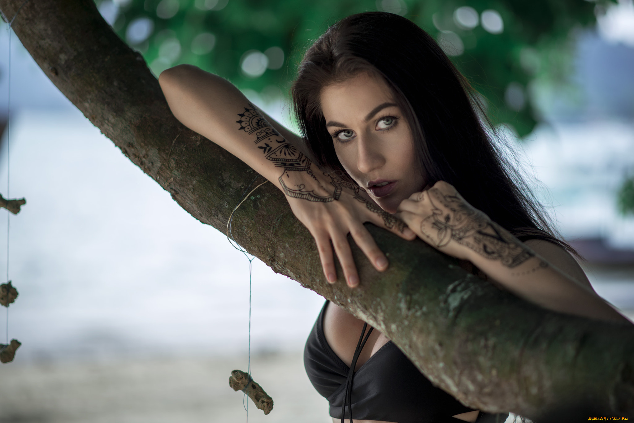 девушка, девушки, -unsort, , брюнетки, темноволосые, модель