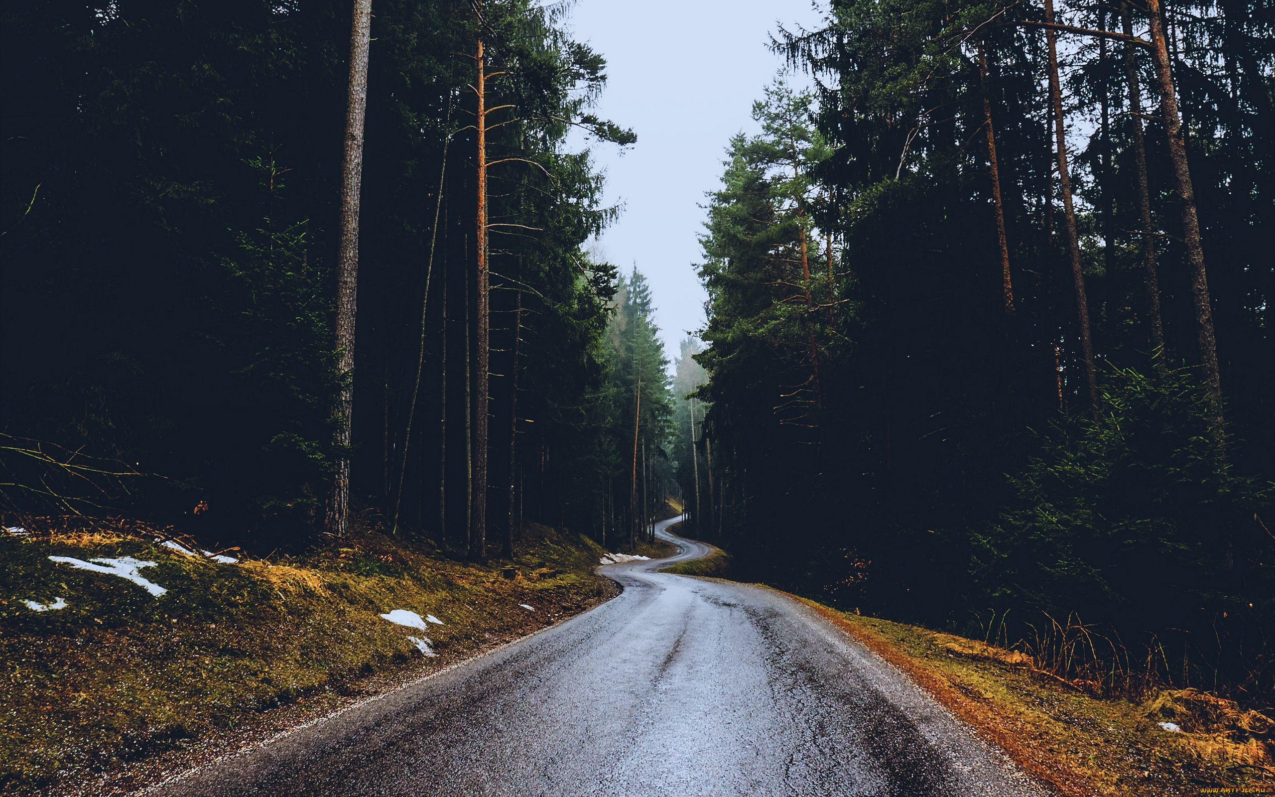 природа, дороги, шоссе