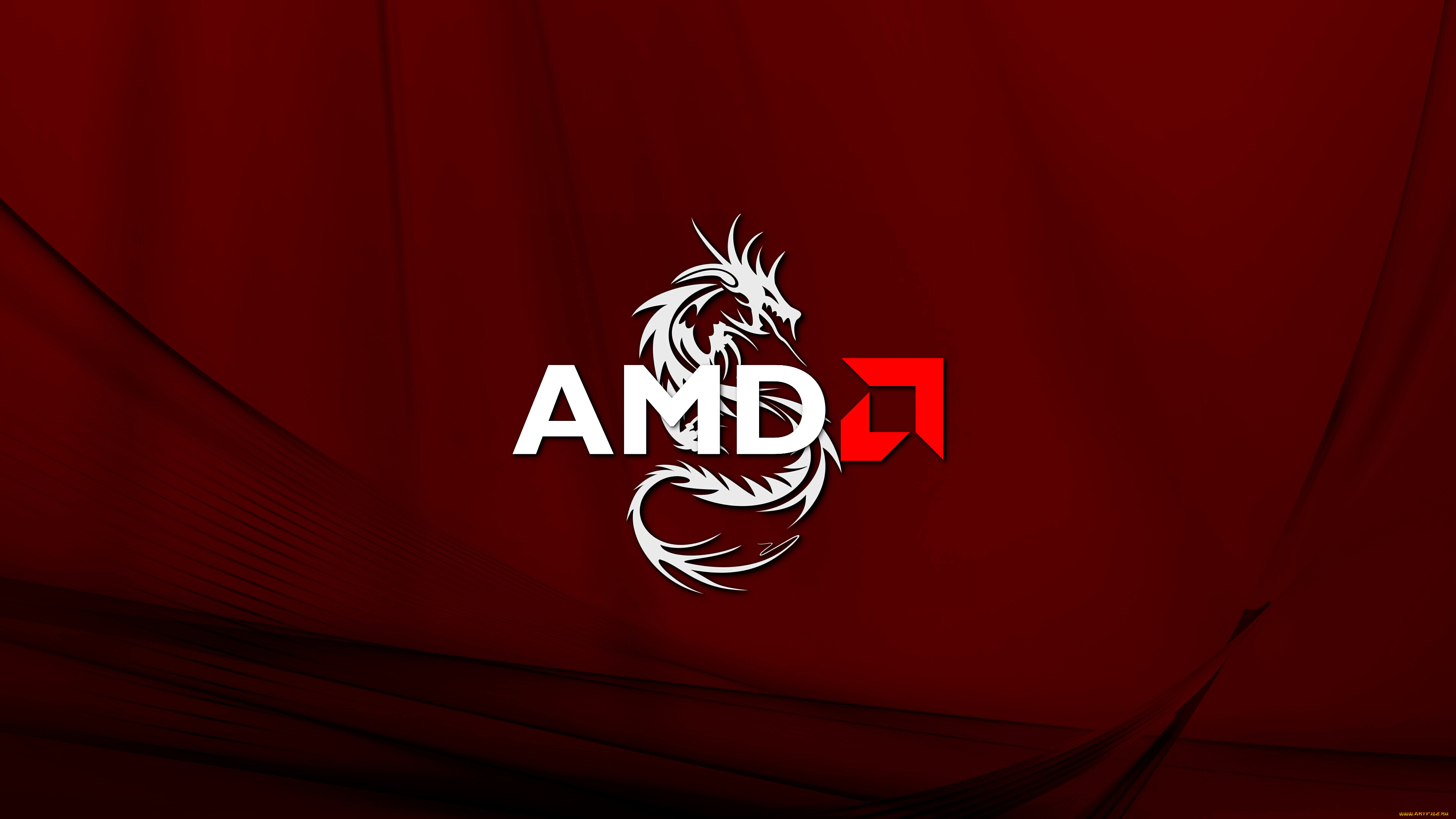компьютеры, amd, фон, логотип