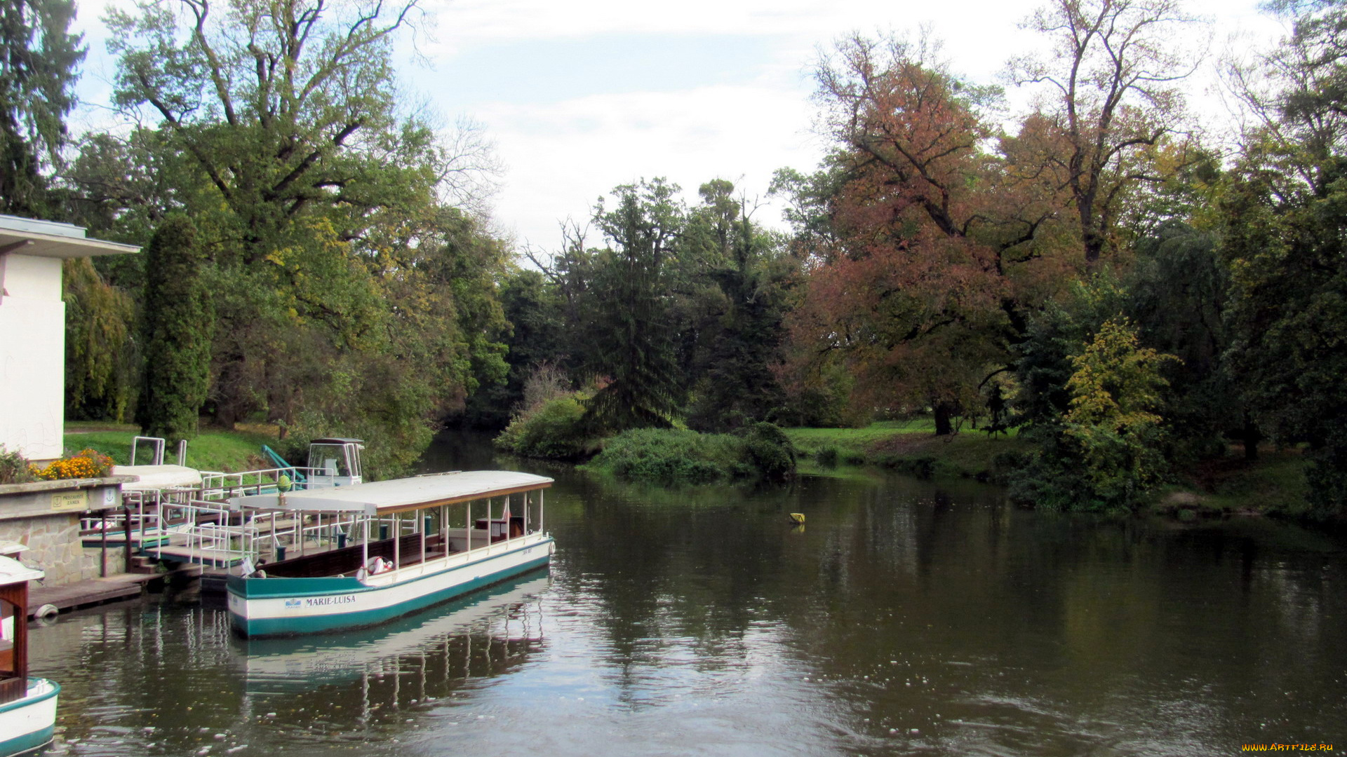 корабли, катера, прогулочный, катер