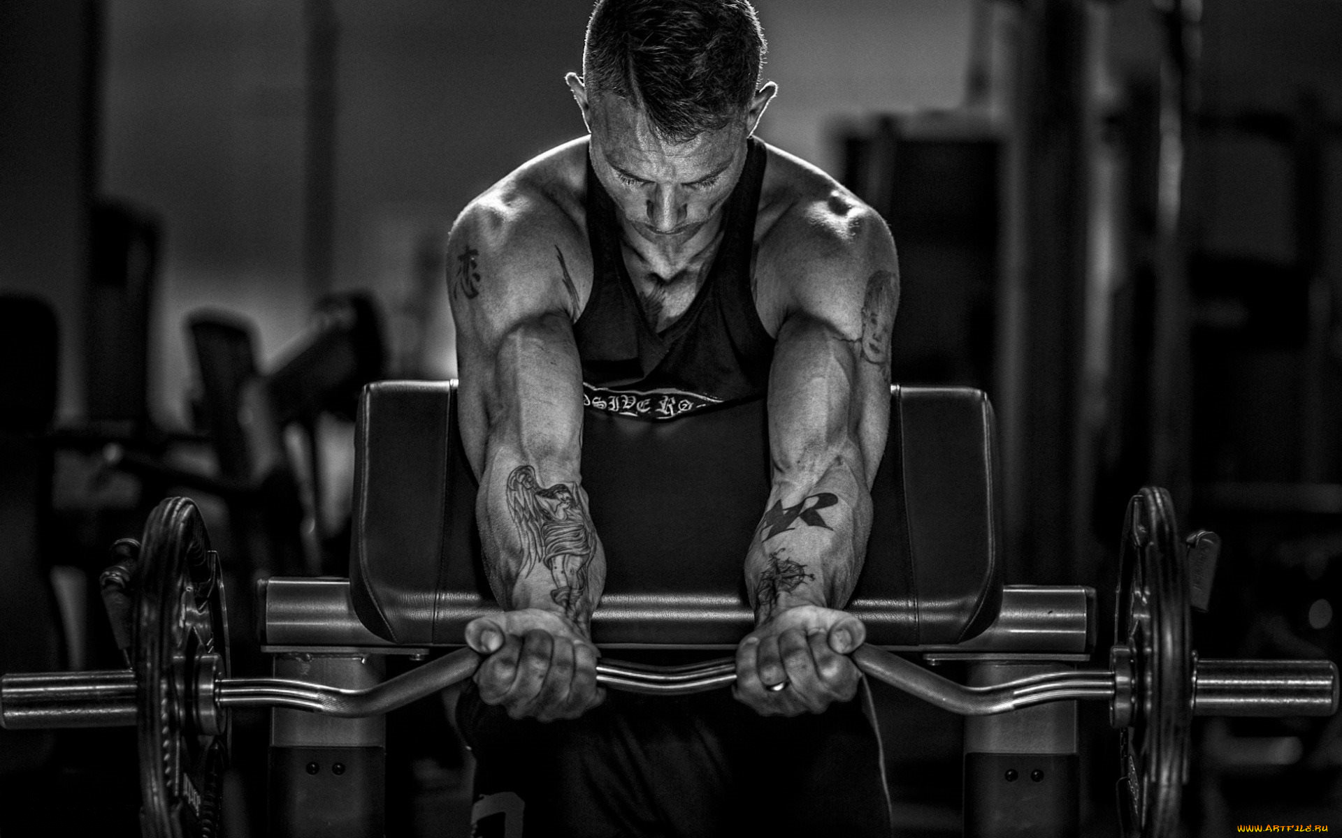 спорт, body, building, бодибилдинг, штанга, бицепс, упражнения, фитнес, тренажерный, зал, мужчина, татуировки