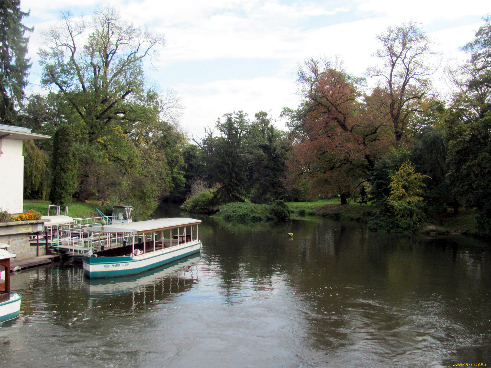 корабли, катера, прогулочный, катер