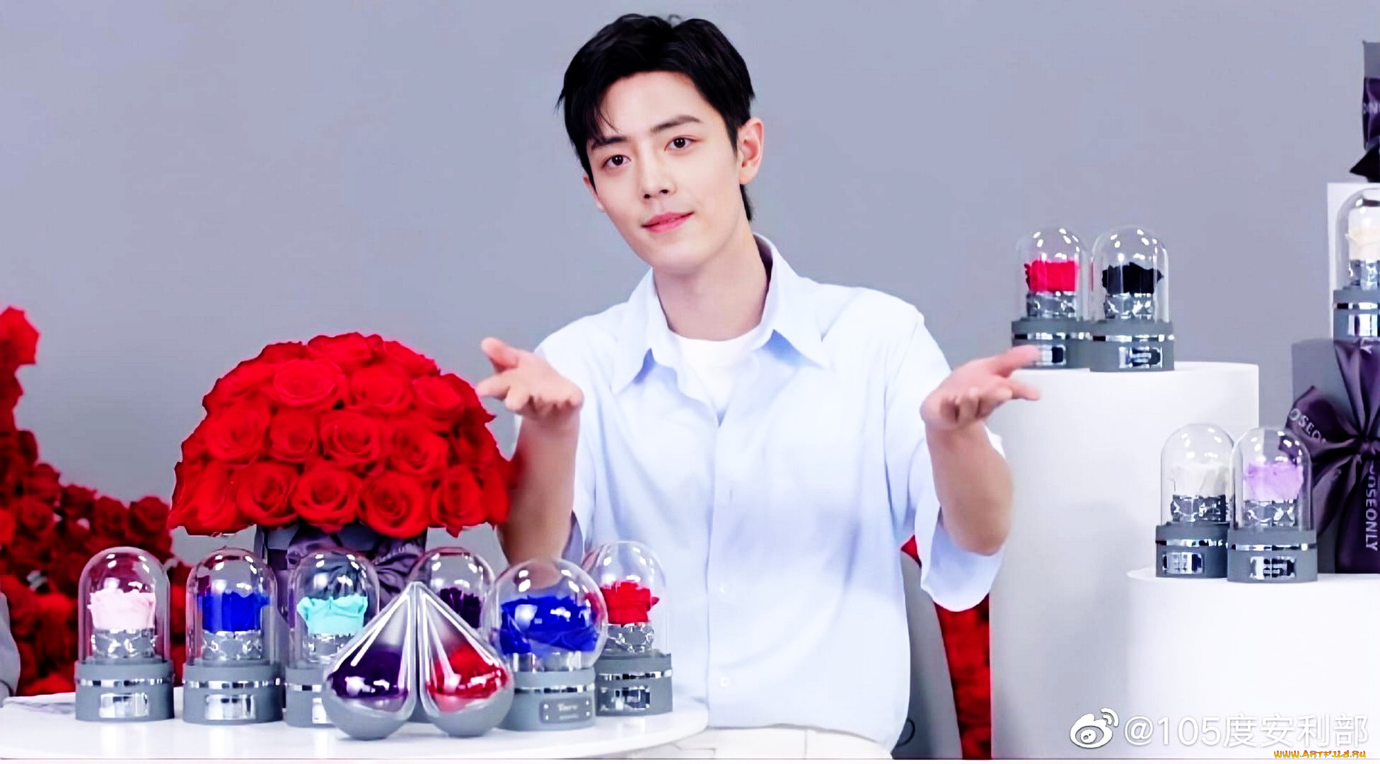 мужчины, xiao, zhan, актер, розы, колбы, презентация