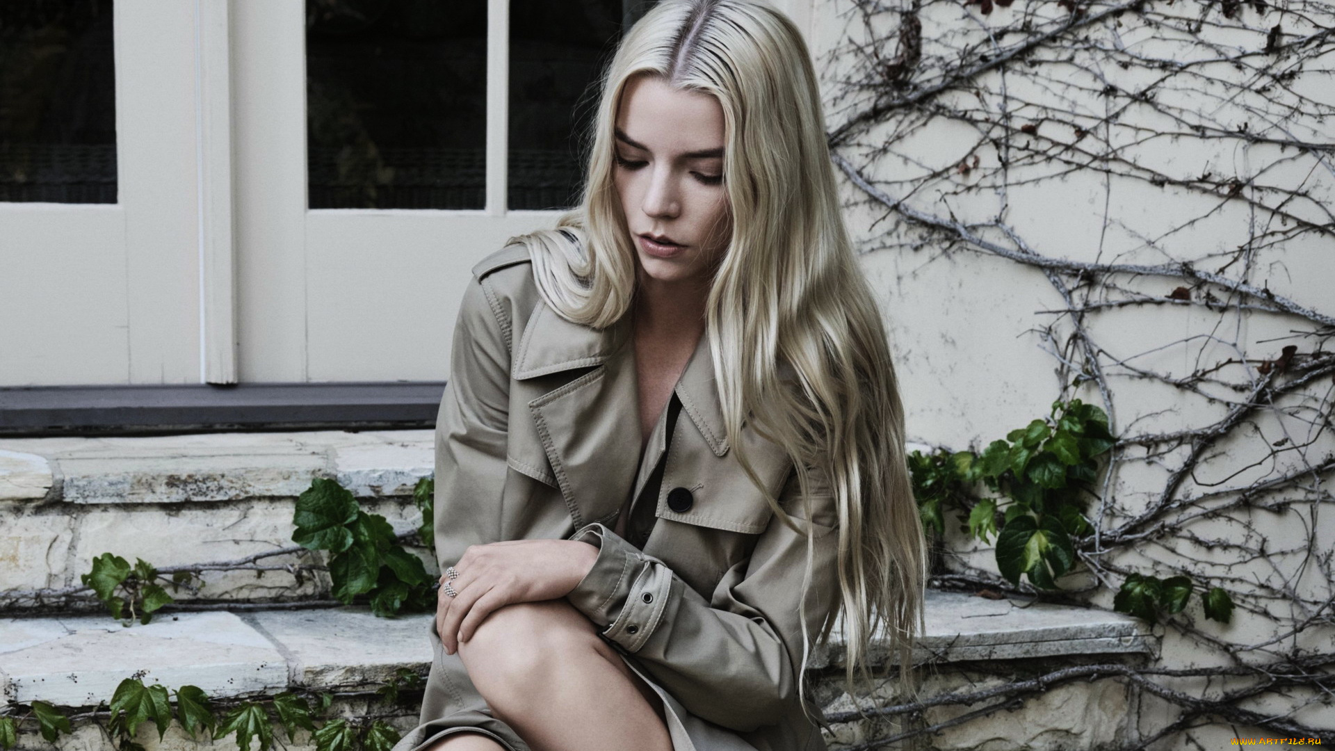 девушки, anya, taylor, joy, актриса