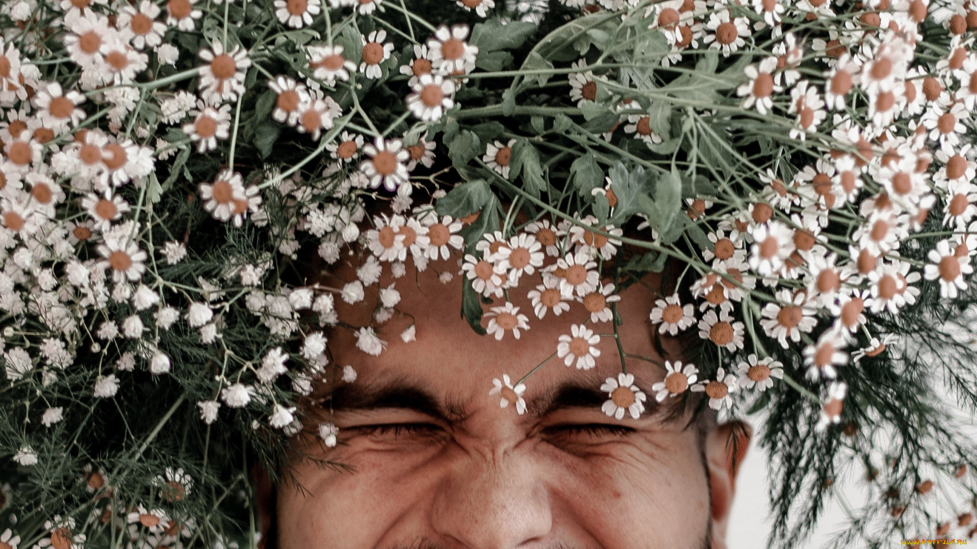 мужчины, -, креатив, , косплей, ромашки