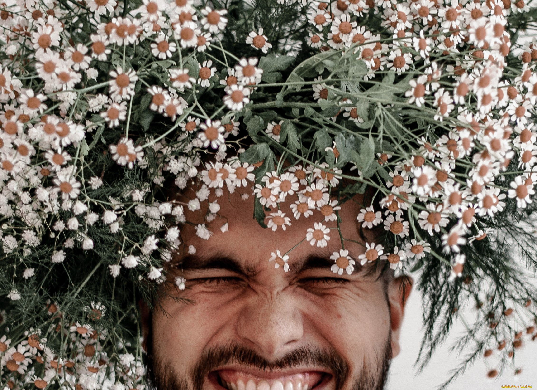 мужчины, -, креатив, , косплей, ромашки