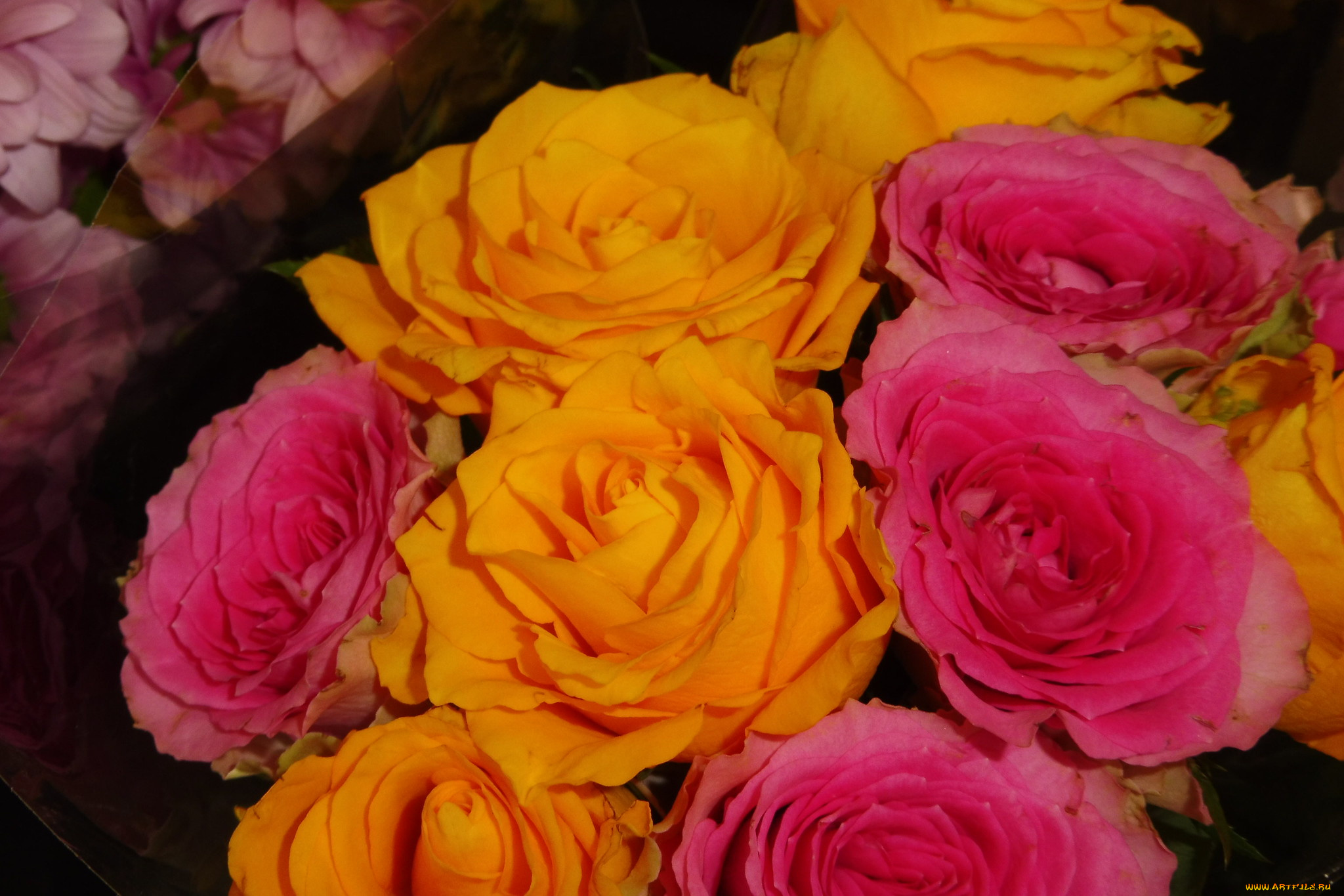 цветы, розы, букет