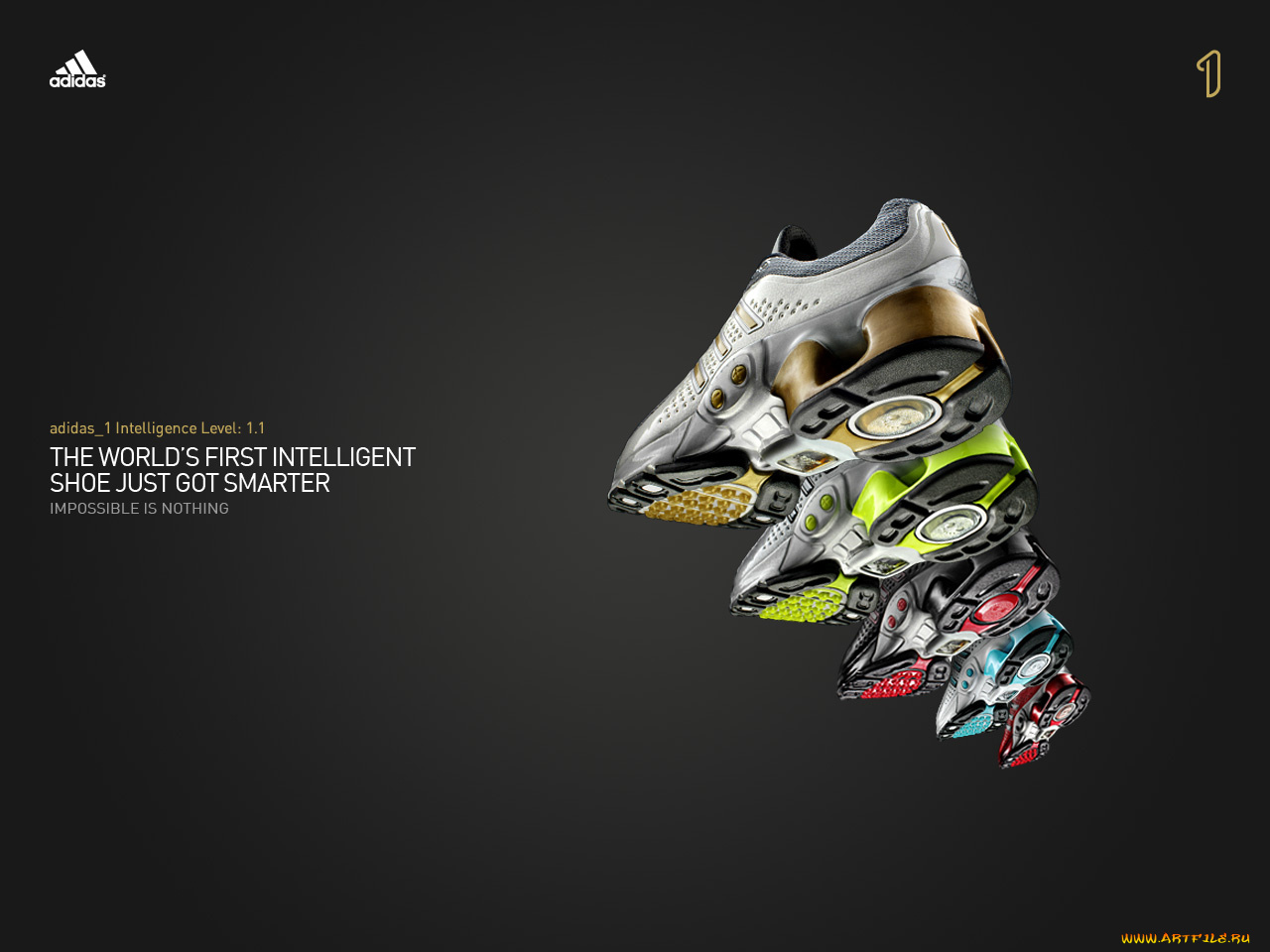 бренды, adidas