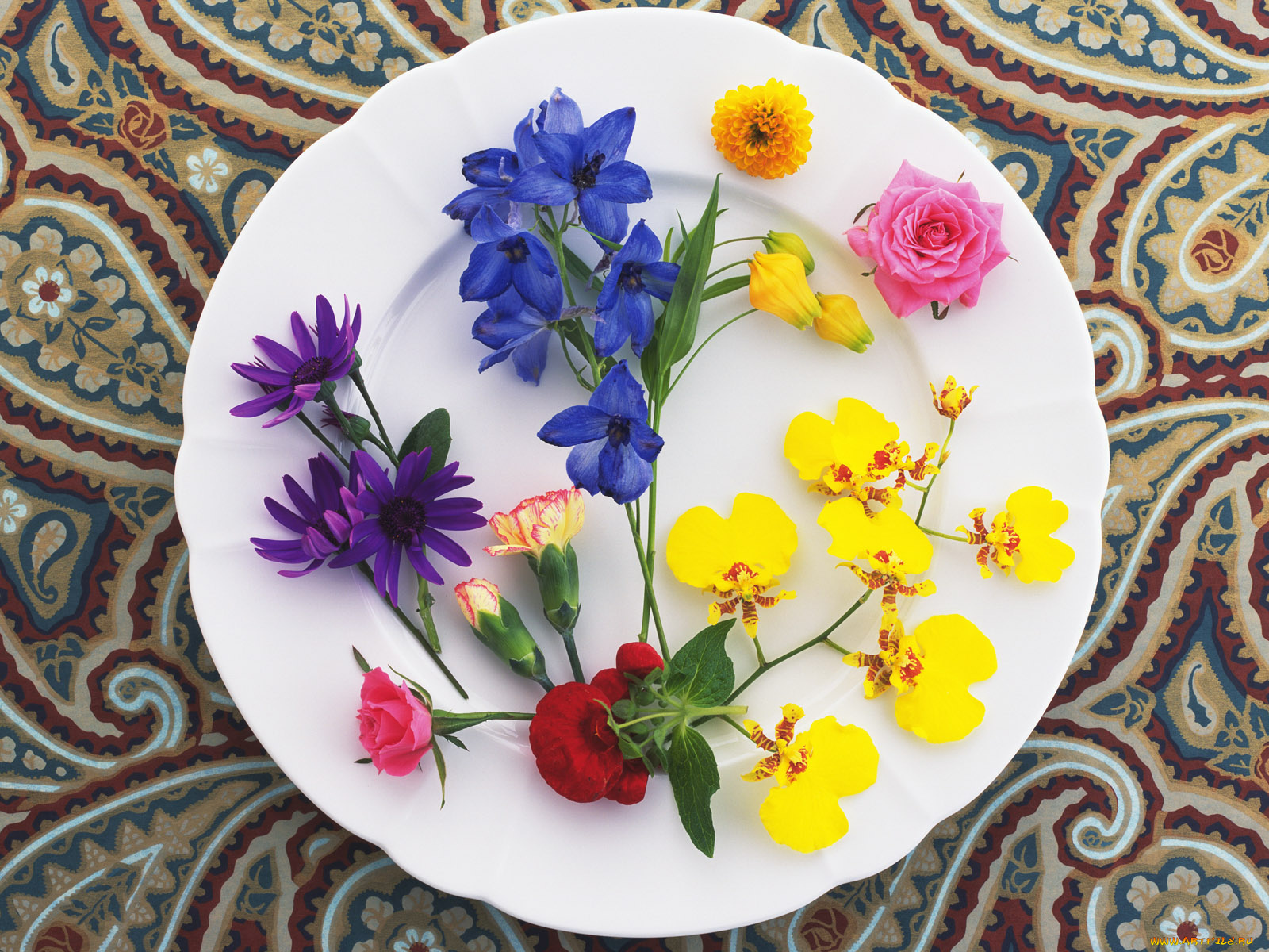 цветы, букеты, композиции