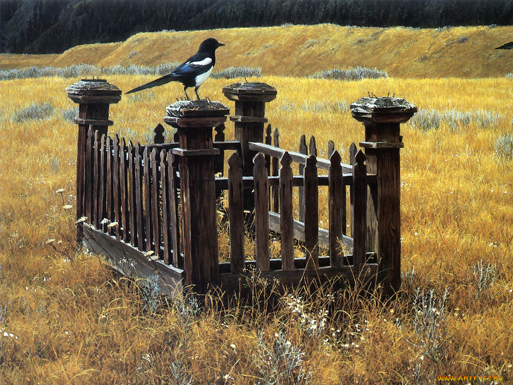 рисованные, животные