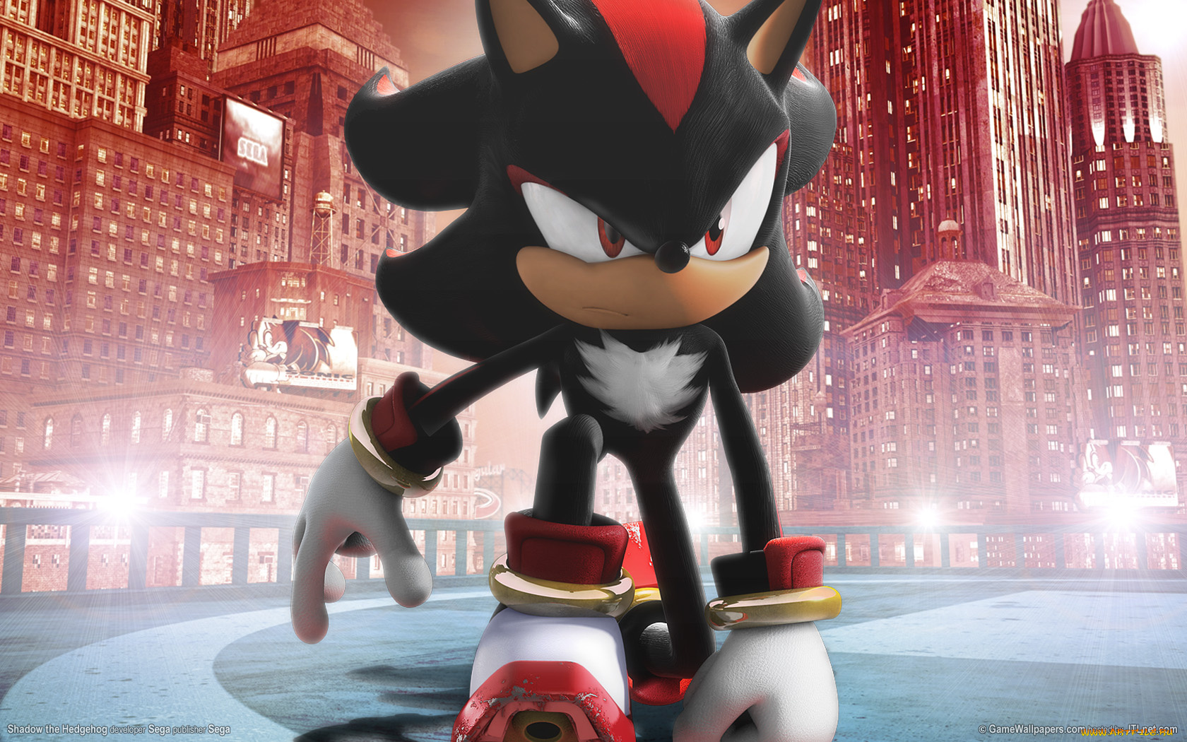 видео, игры, shadow, the, hedgehog