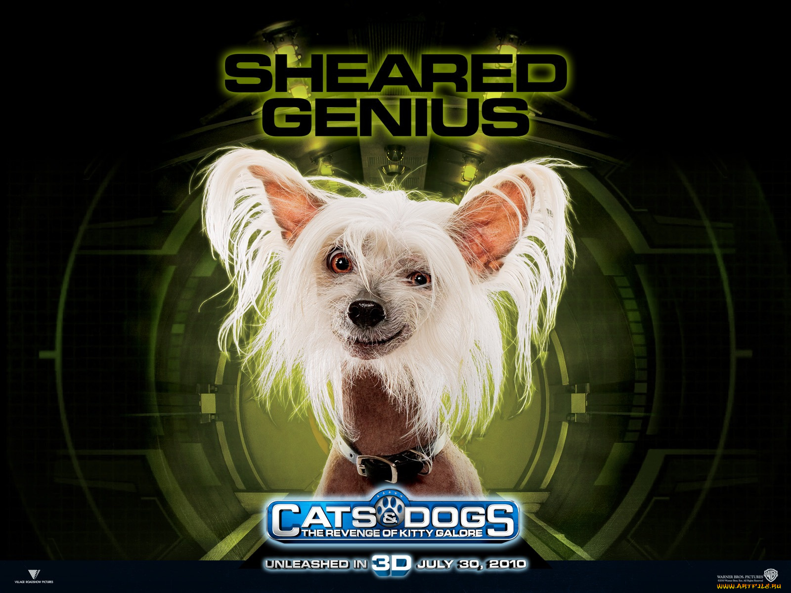 cats, dogs, the, revenge, of, kitty, galore, кино, фильмы