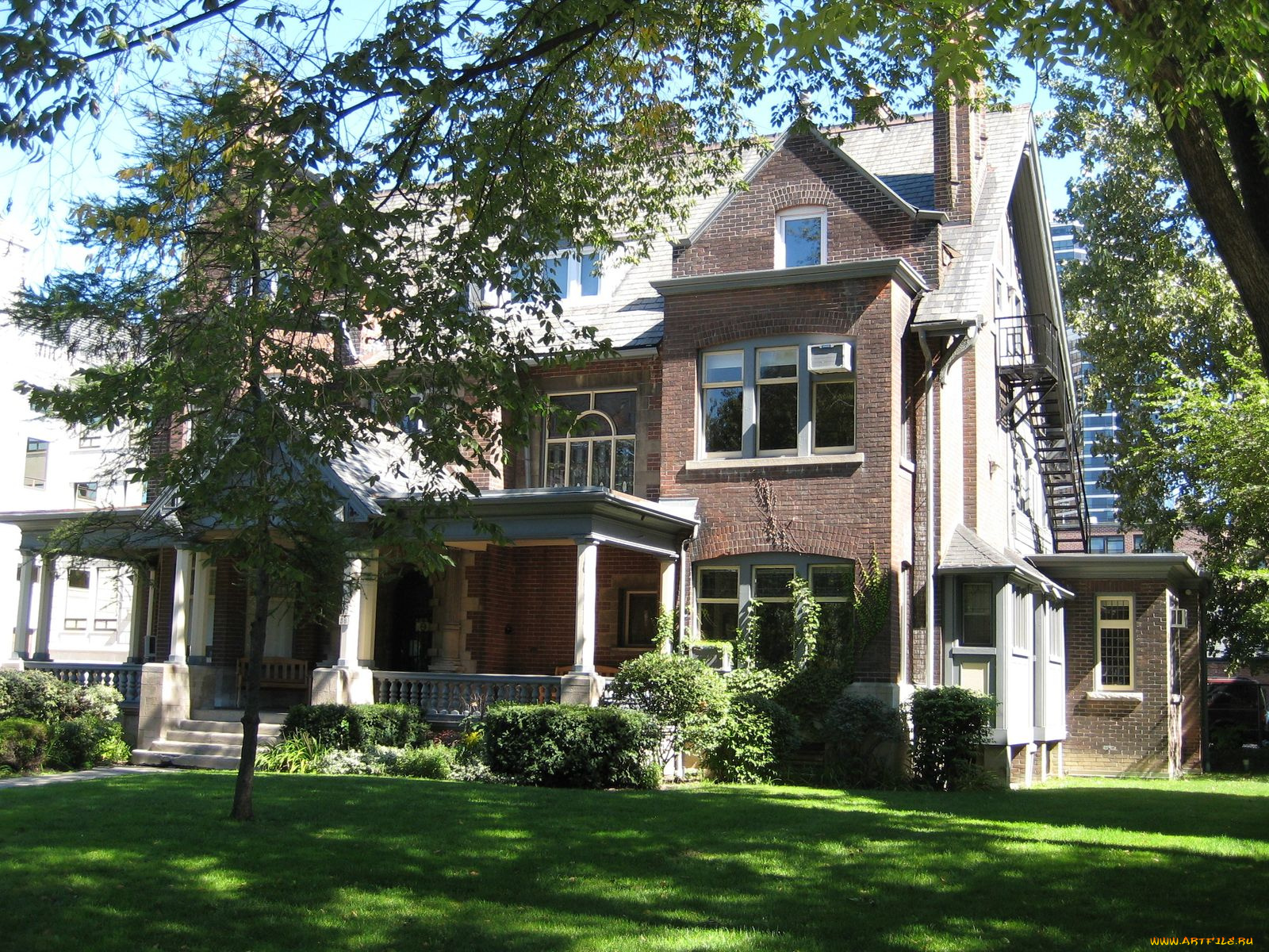 города, здания, дома, плющ