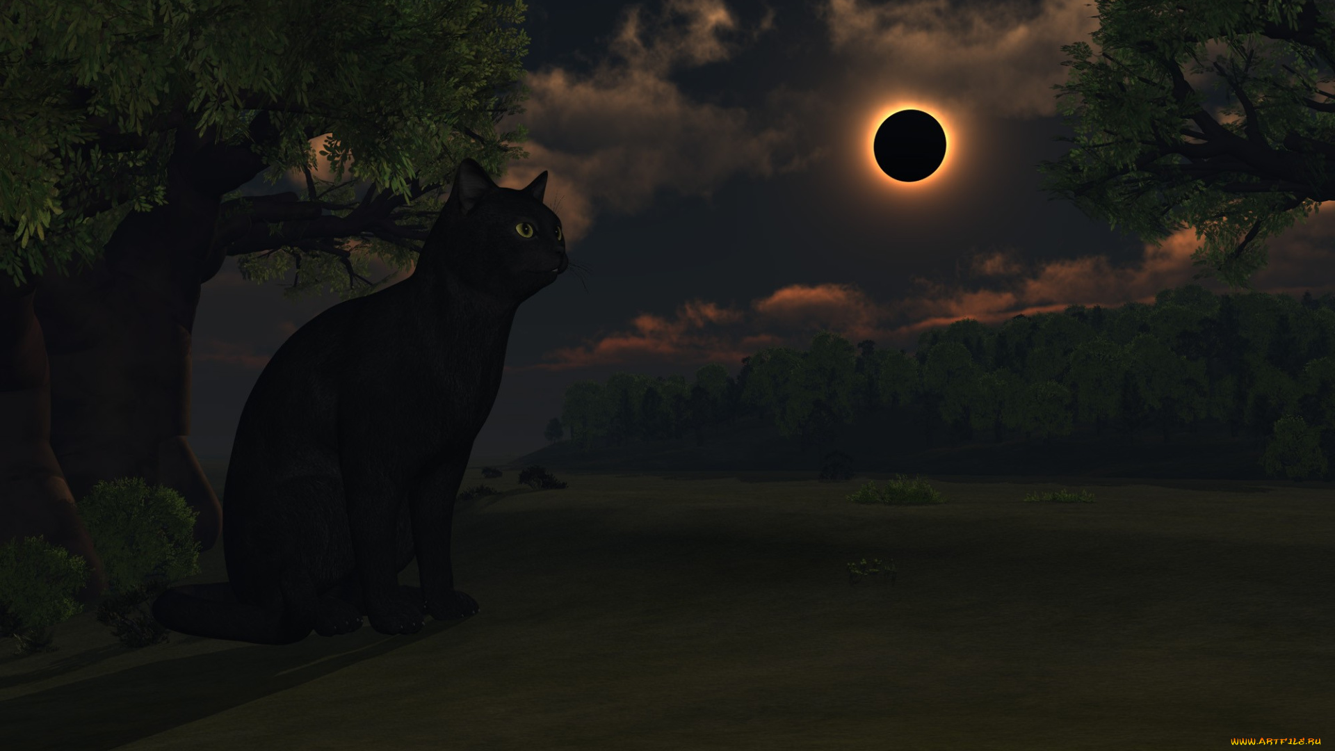 3д, графика, animals, животные, ночь, дерево, луна, кот