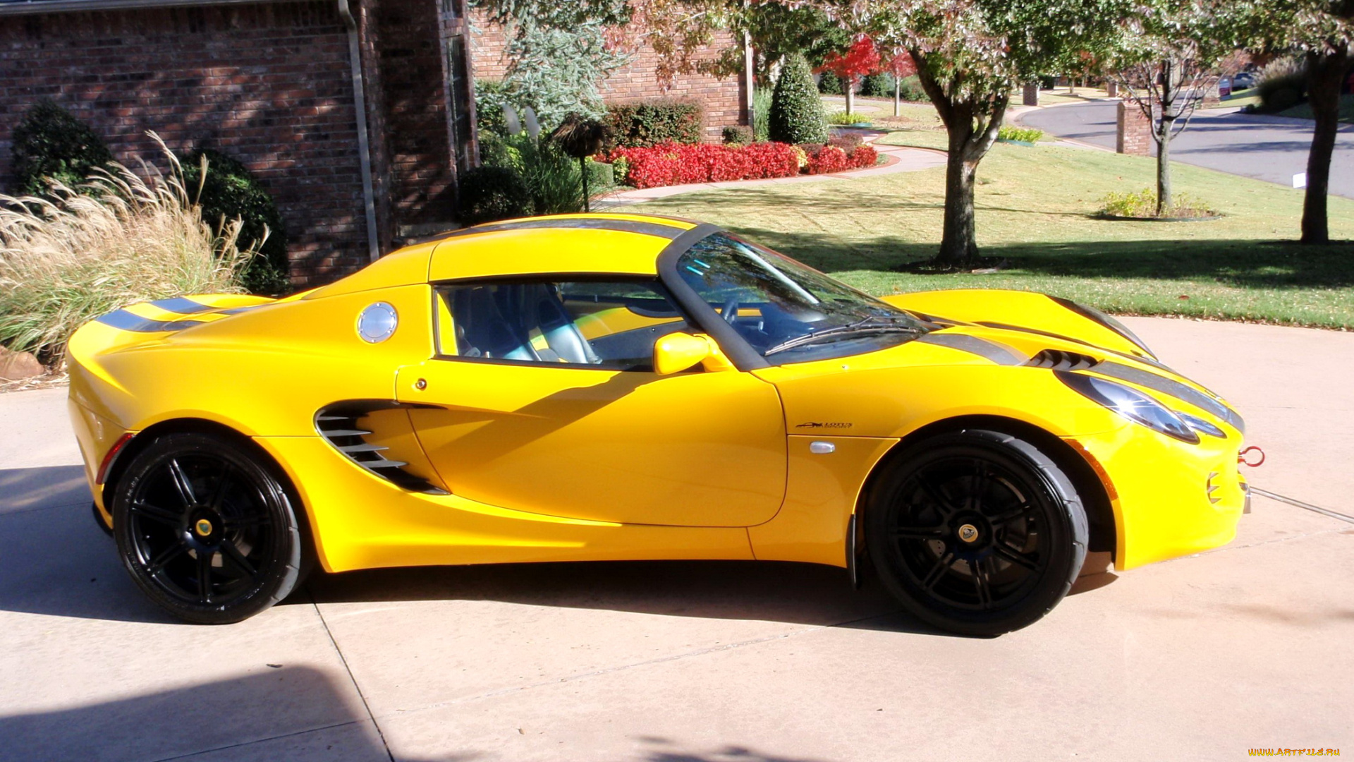 автомобили, выставки, уличные, фото, elise, lotus