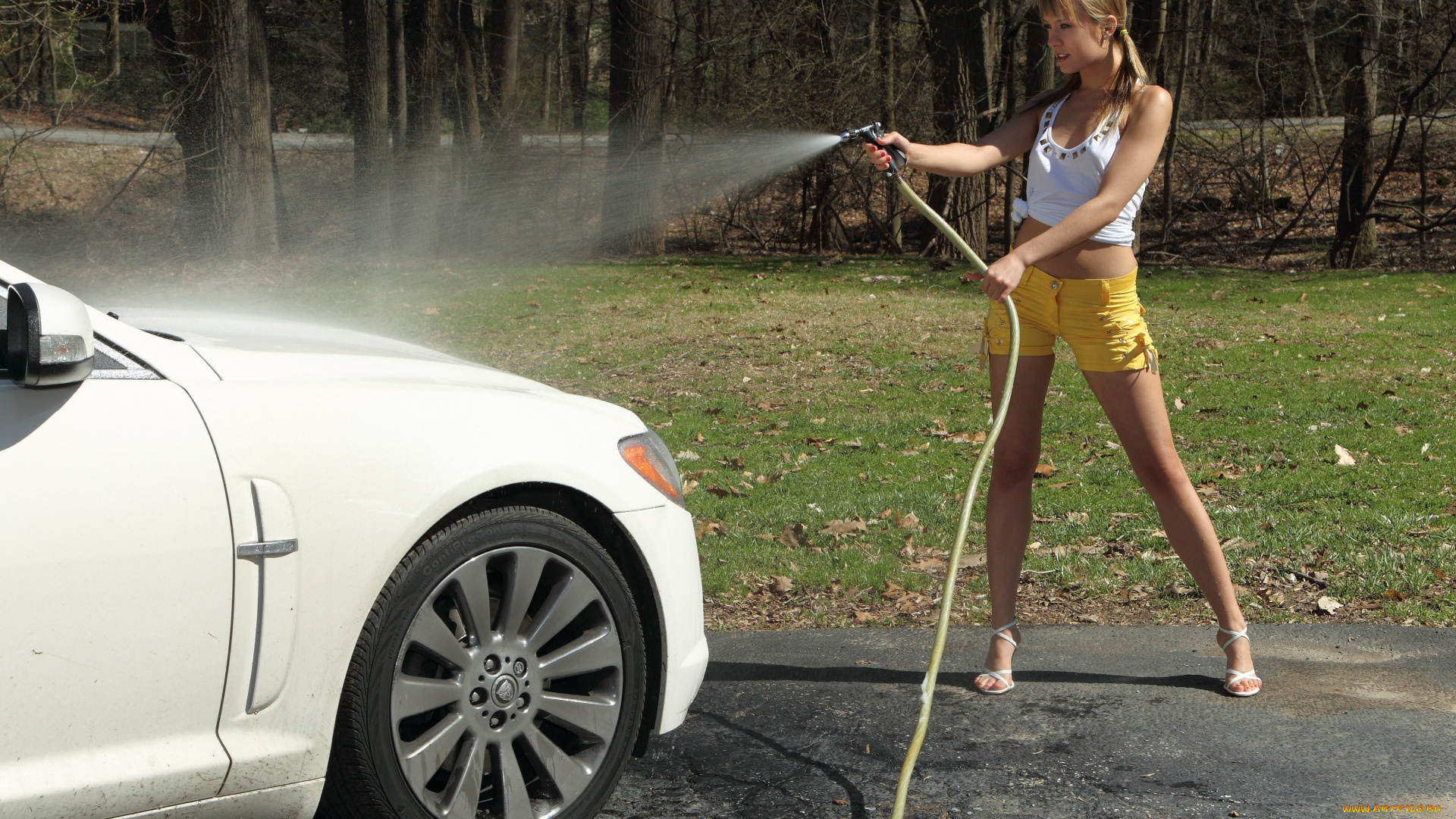 blue, angel, автомобили, авто, девушками