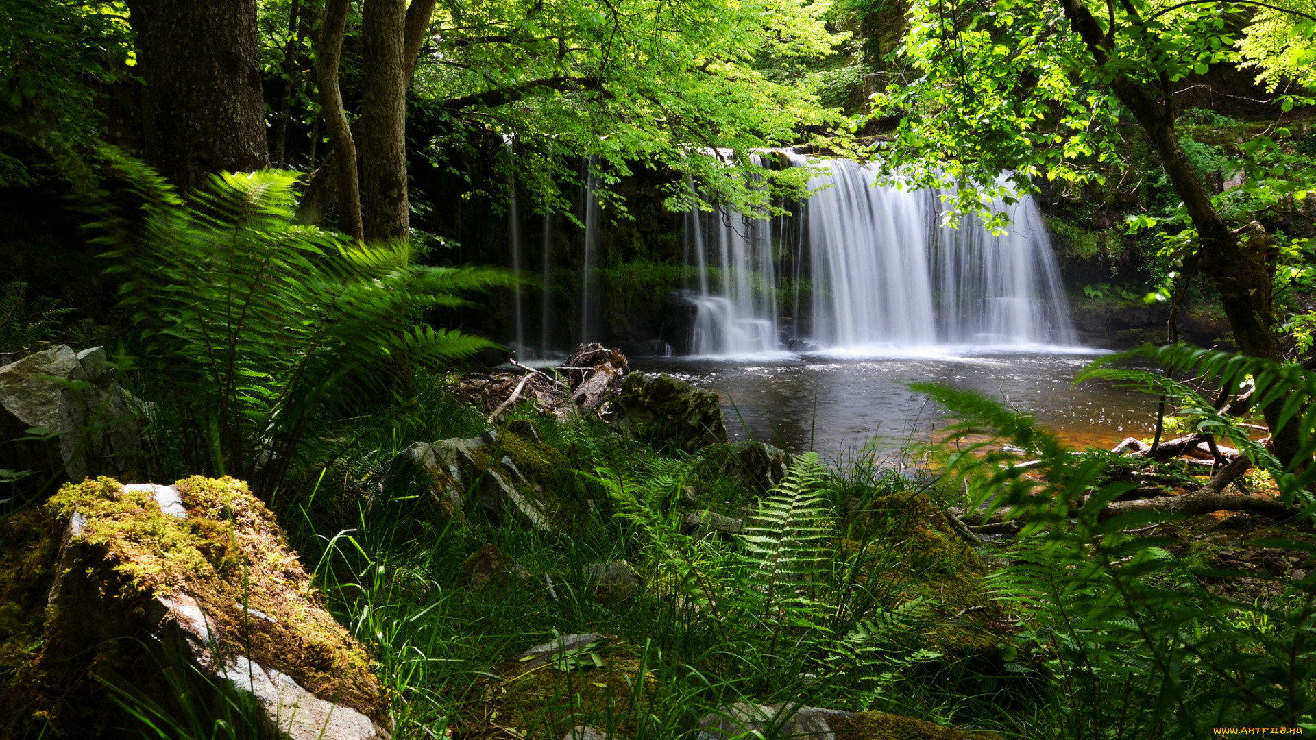 brecon, beacons, national, park, england, природа, водопады, англия, лес, папоротник