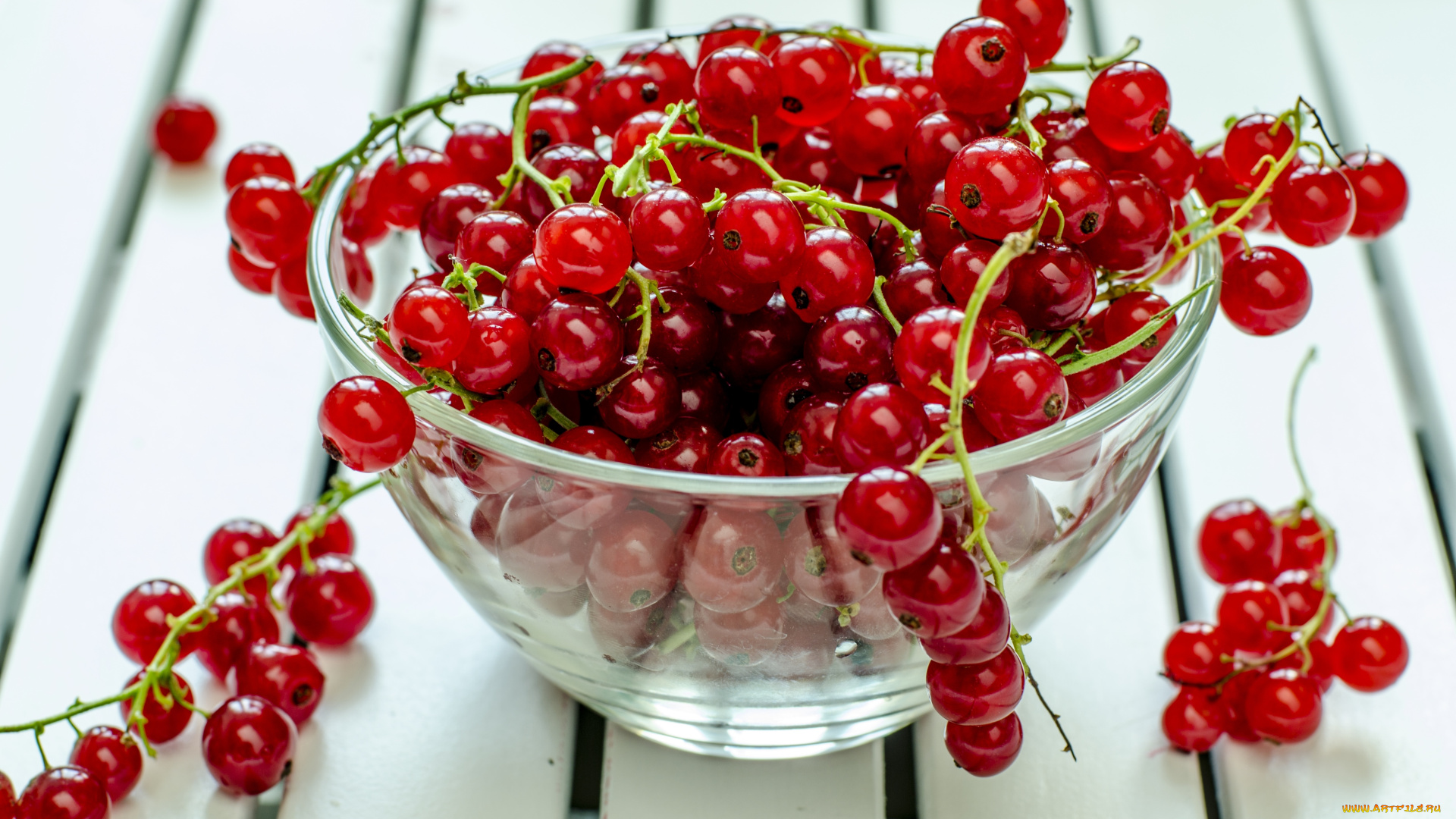 еда, смородина, красная