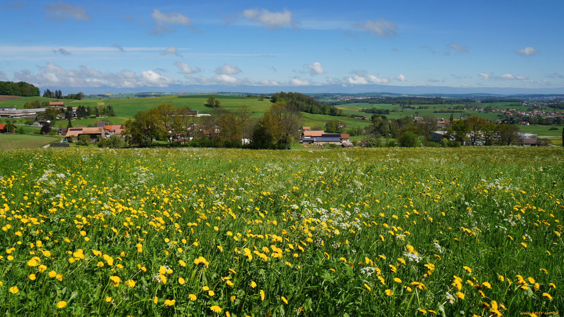 gruyere, switzerland, природа, луга