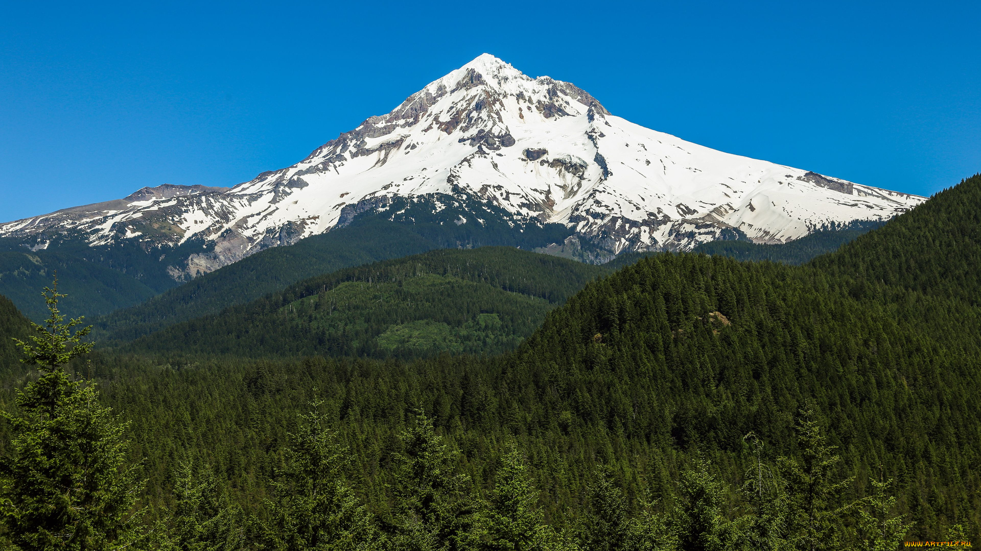 mount, hood, oregon, природа, горы, вершина, маунт-худ, вулкан, лес
