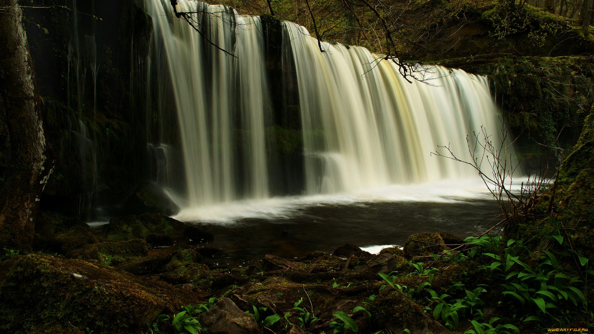 природа, водопады, лес