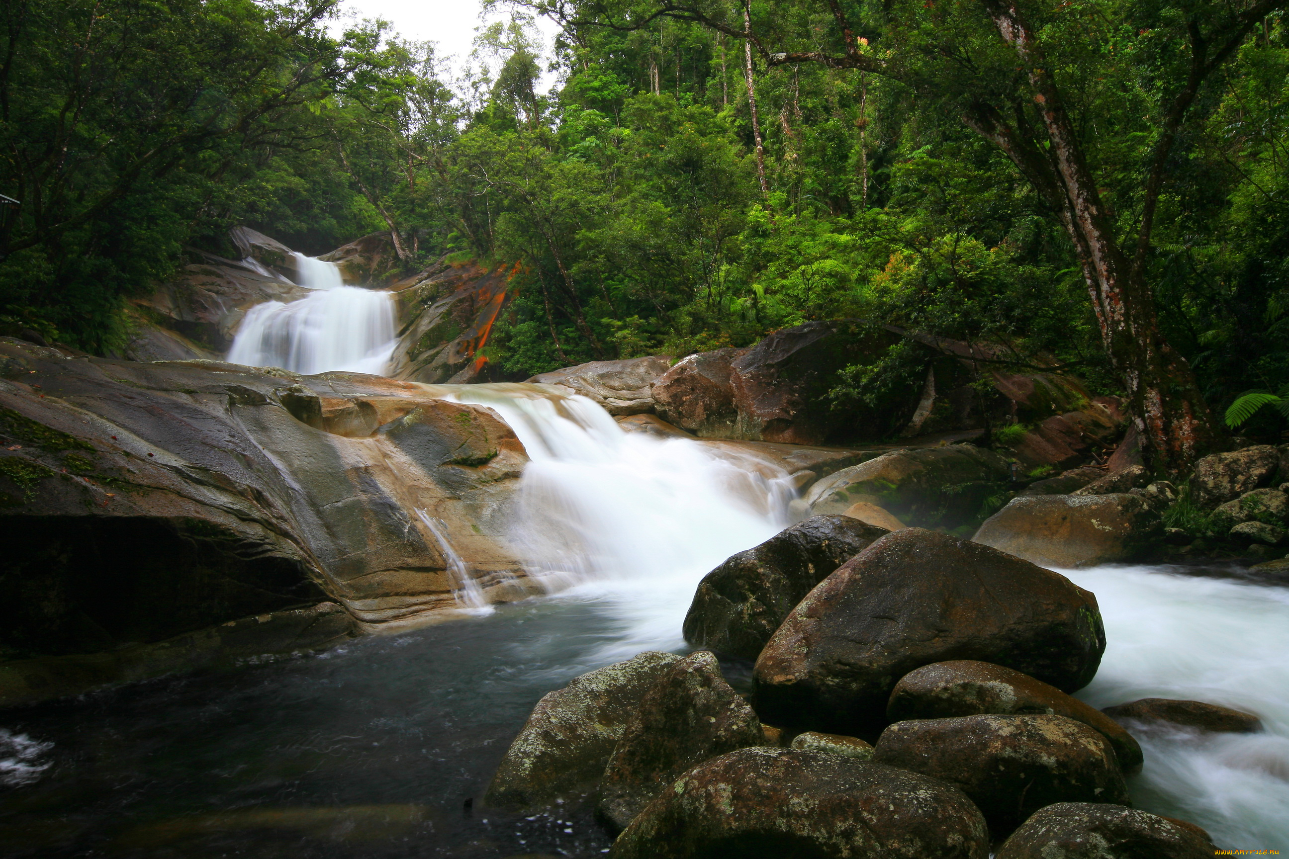 queensland, australia, природа, водопады, водопад