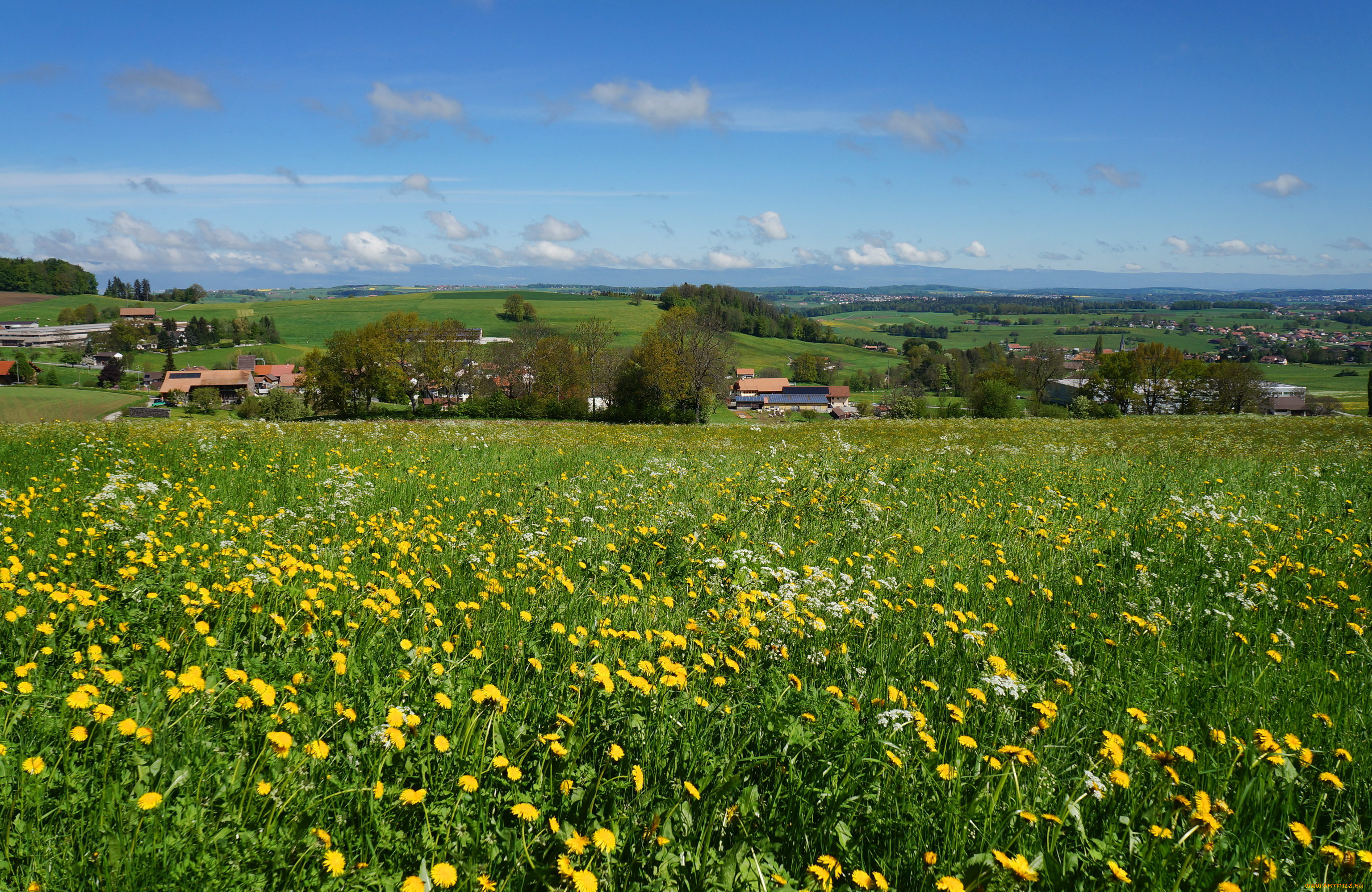 gruyere, switzerland, природа, луга